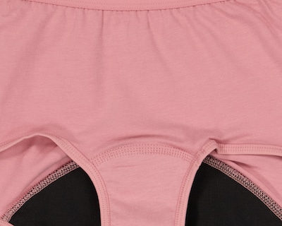 Foto 3 | Bóxer Menstrual Hanes Para Mis Días 2 Piezas para Mujer