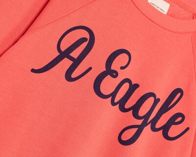 Foto 3 | Sudadera Cuello Redondo American Eagle para Mujer