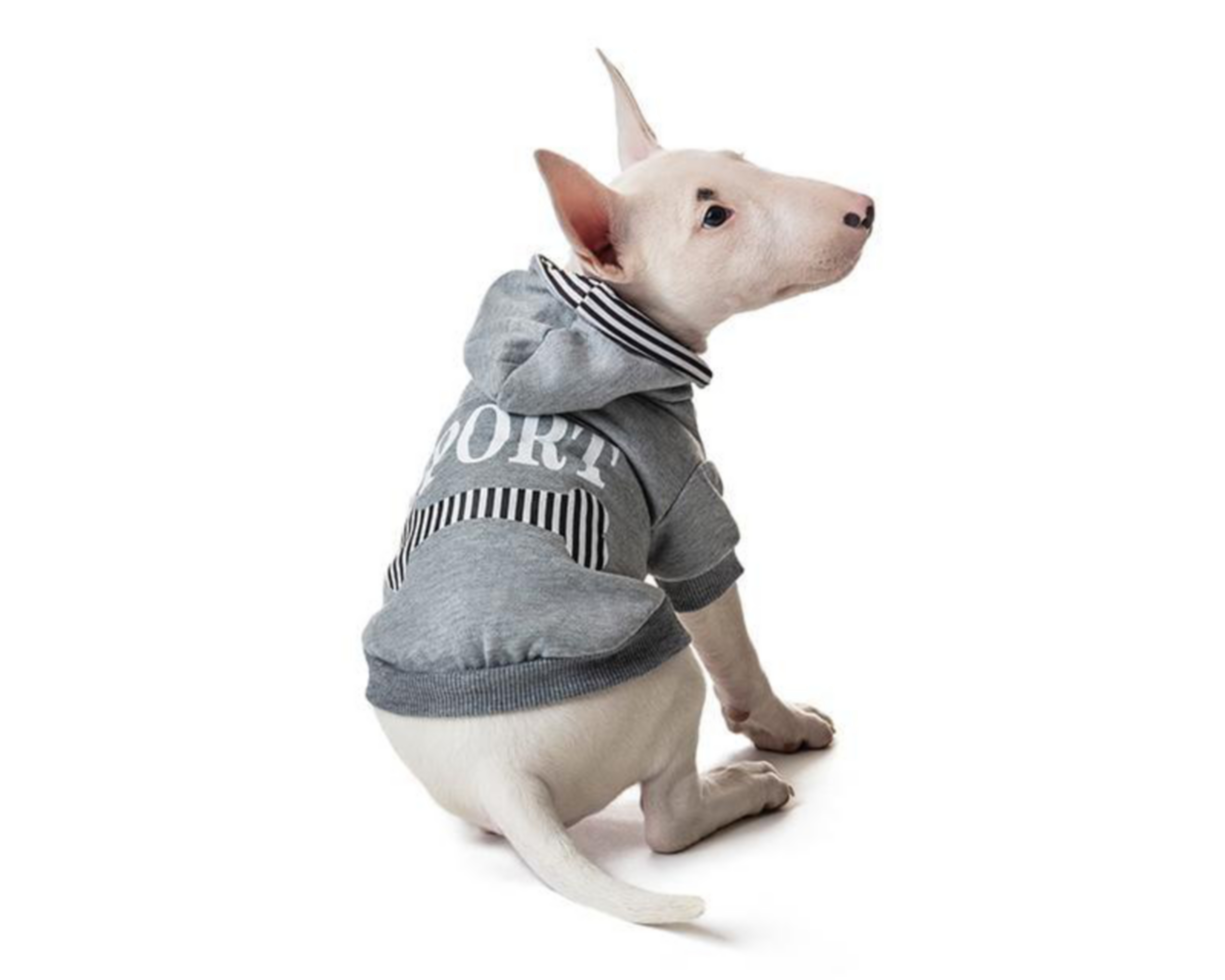 Foto 1 | Suéter Huppy para Perro