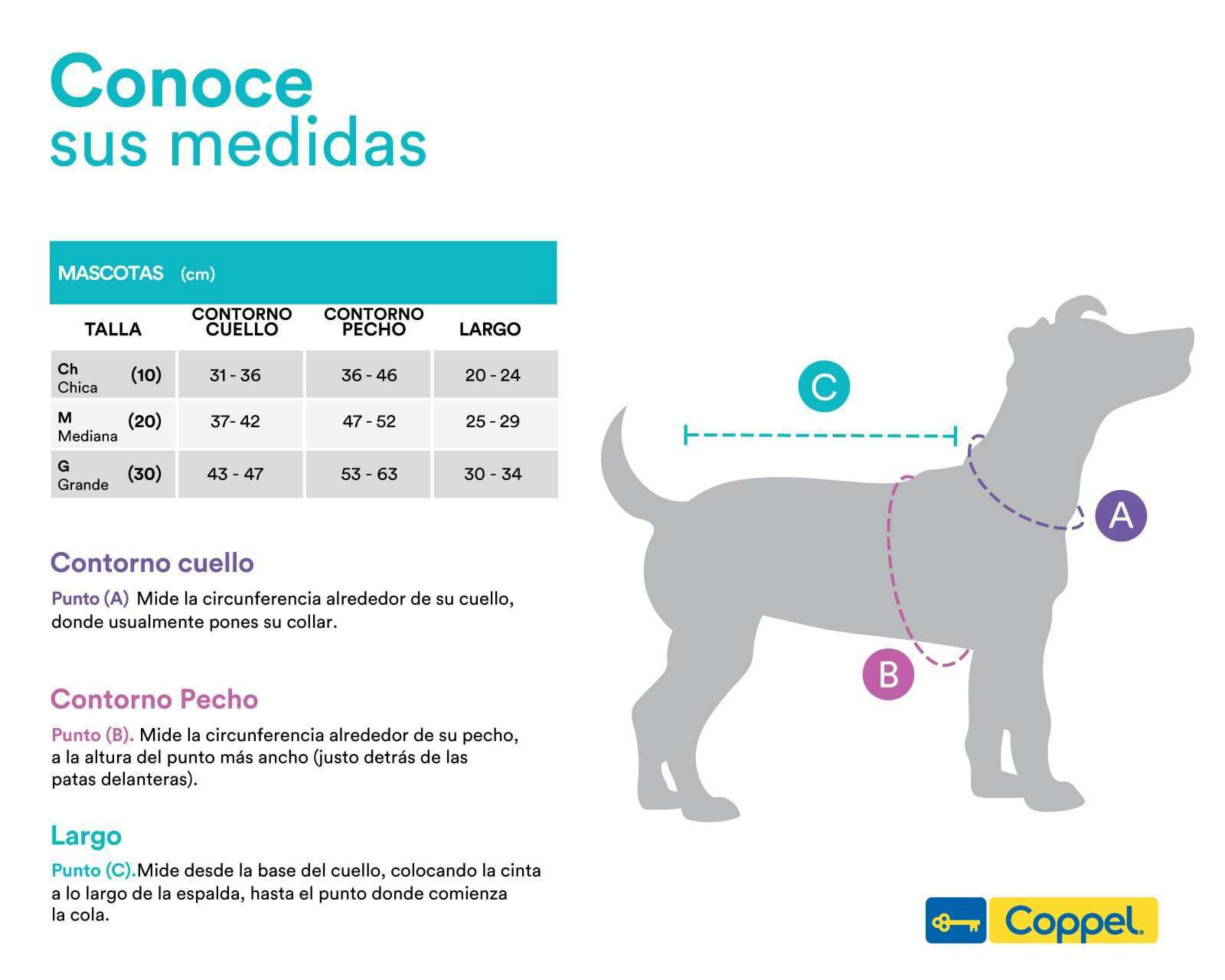 Foto 6 | Suéter Huppy para Perro