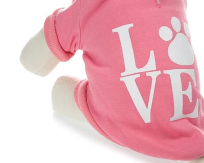 Foto 5 | Suéter Huppy para Perro