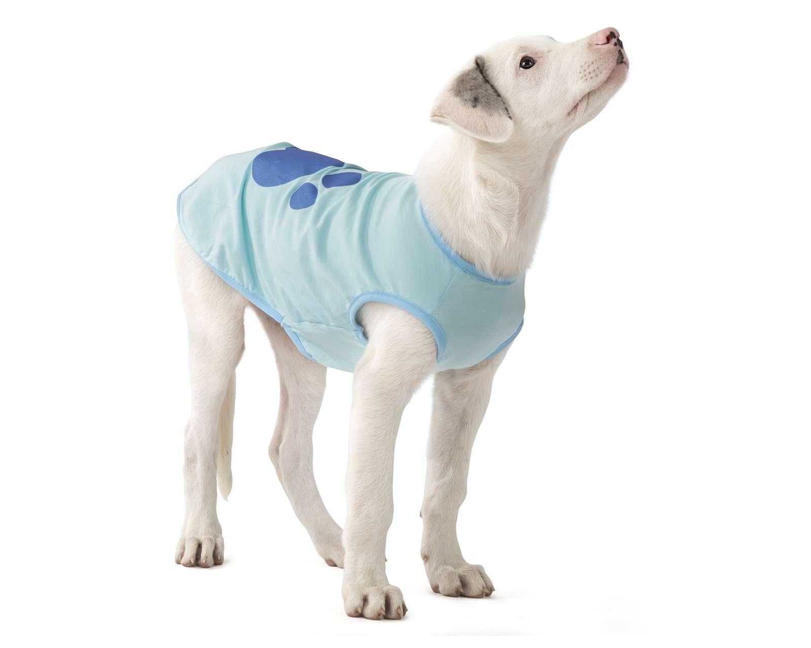 Coppel Ropa Para Perro Sale Online, 50% OFF 