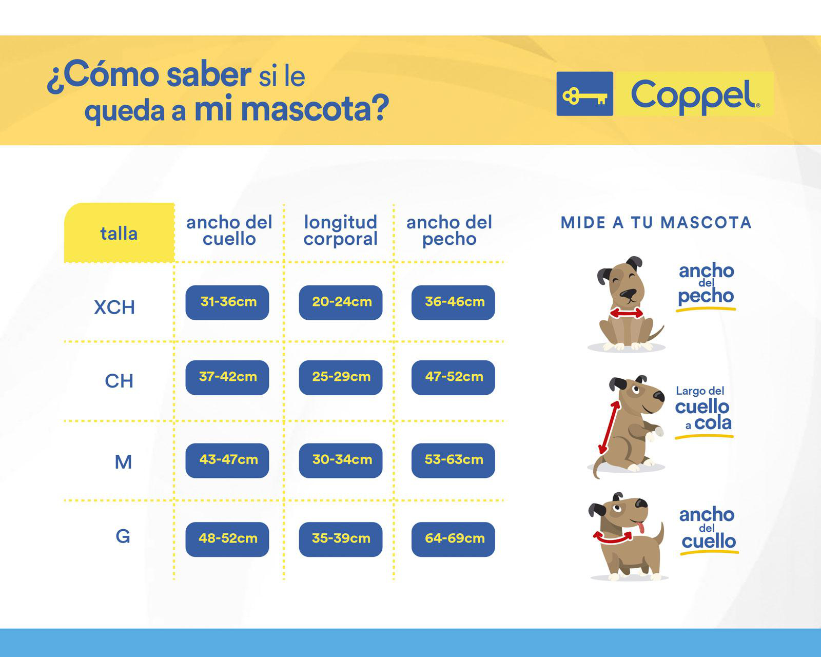Foto 7 pulgar | Impermeable Huppy para Perro