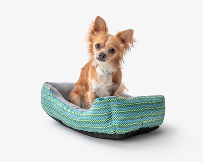 Foto 5 | Cama para Mascotas Huppy 50 x 38 x 14 cm