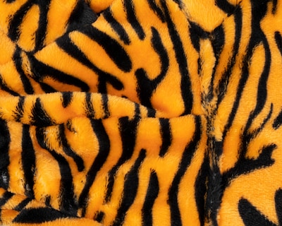 Foto 6 | Disfraz de Tigre Huppy para Perro
