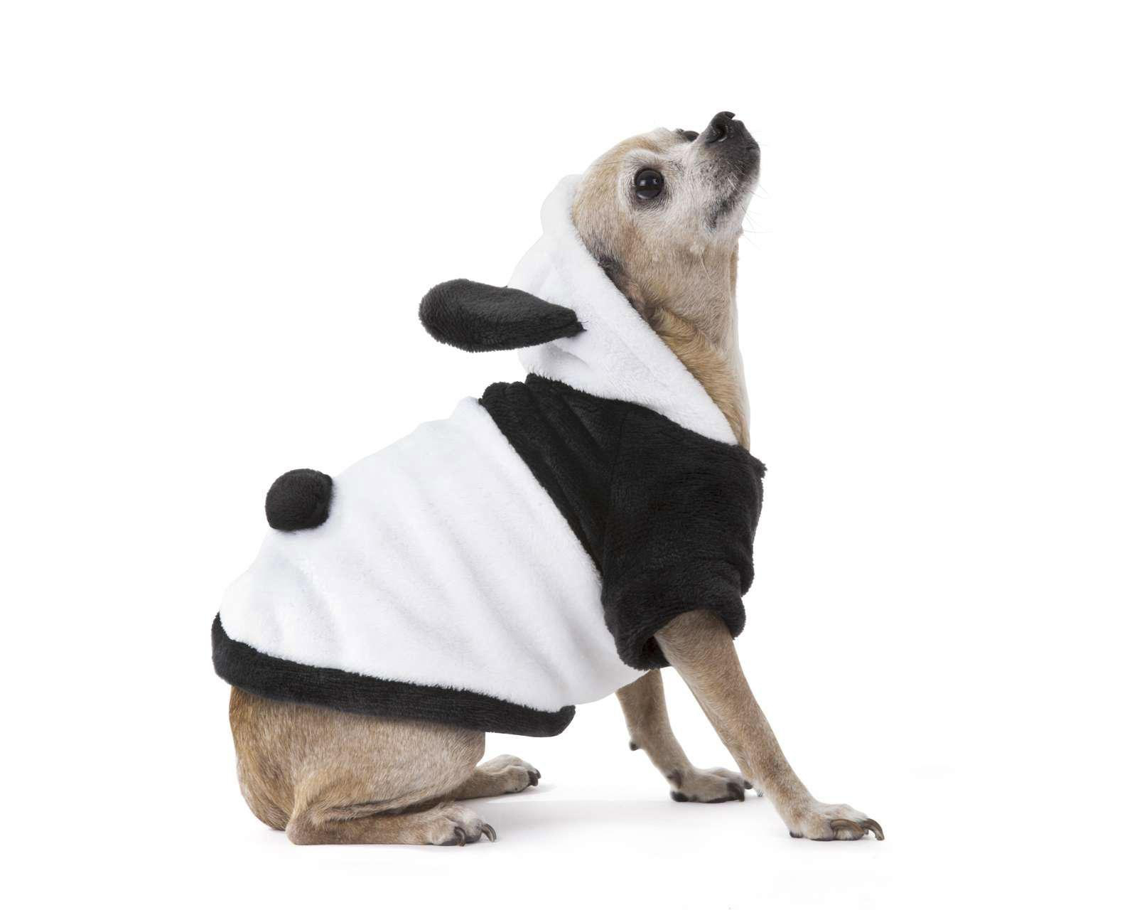 Disfraz de Panda Huppy para Perro