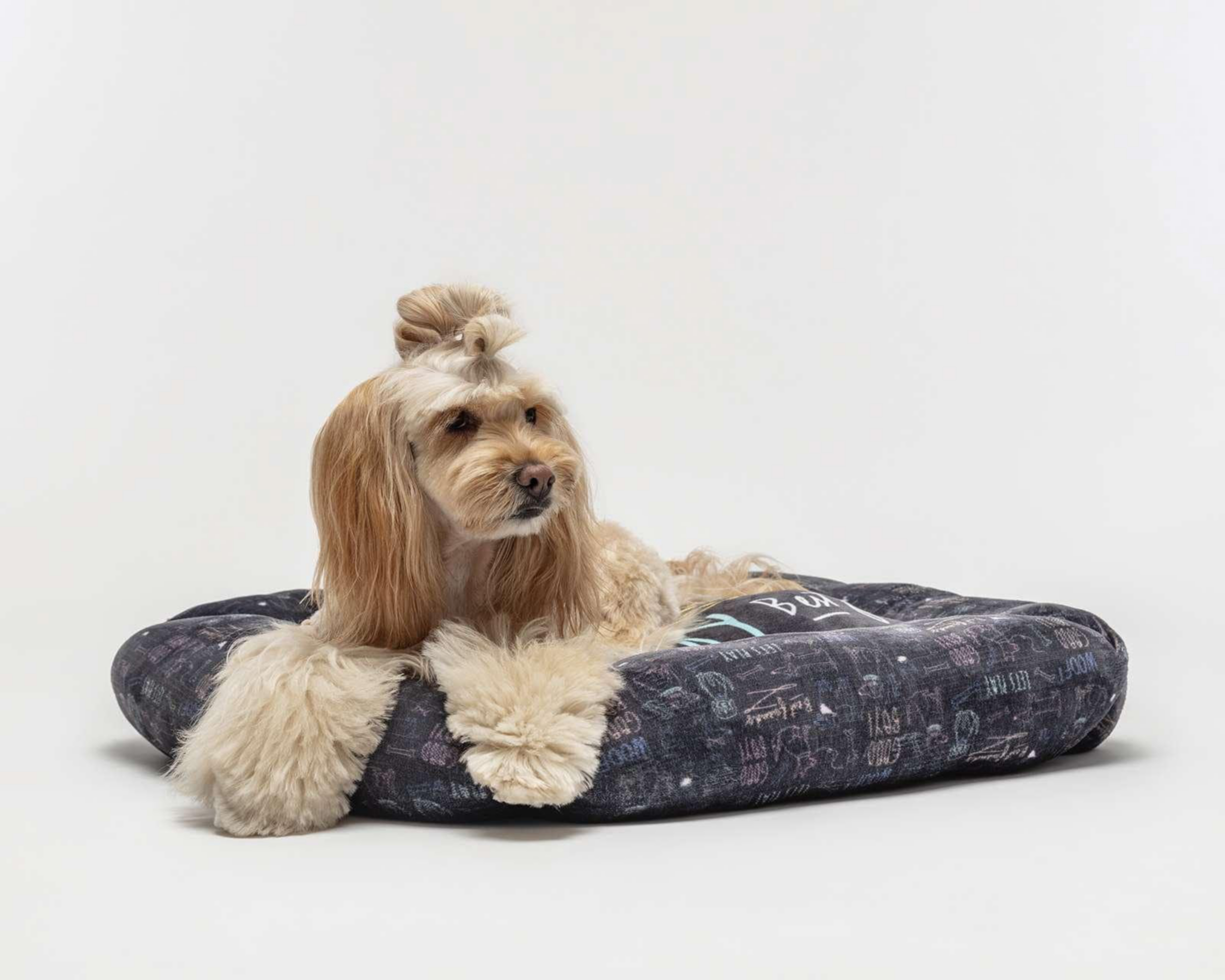 Foto 1 | Cama para Mascota Providencia 76 x 50 cm