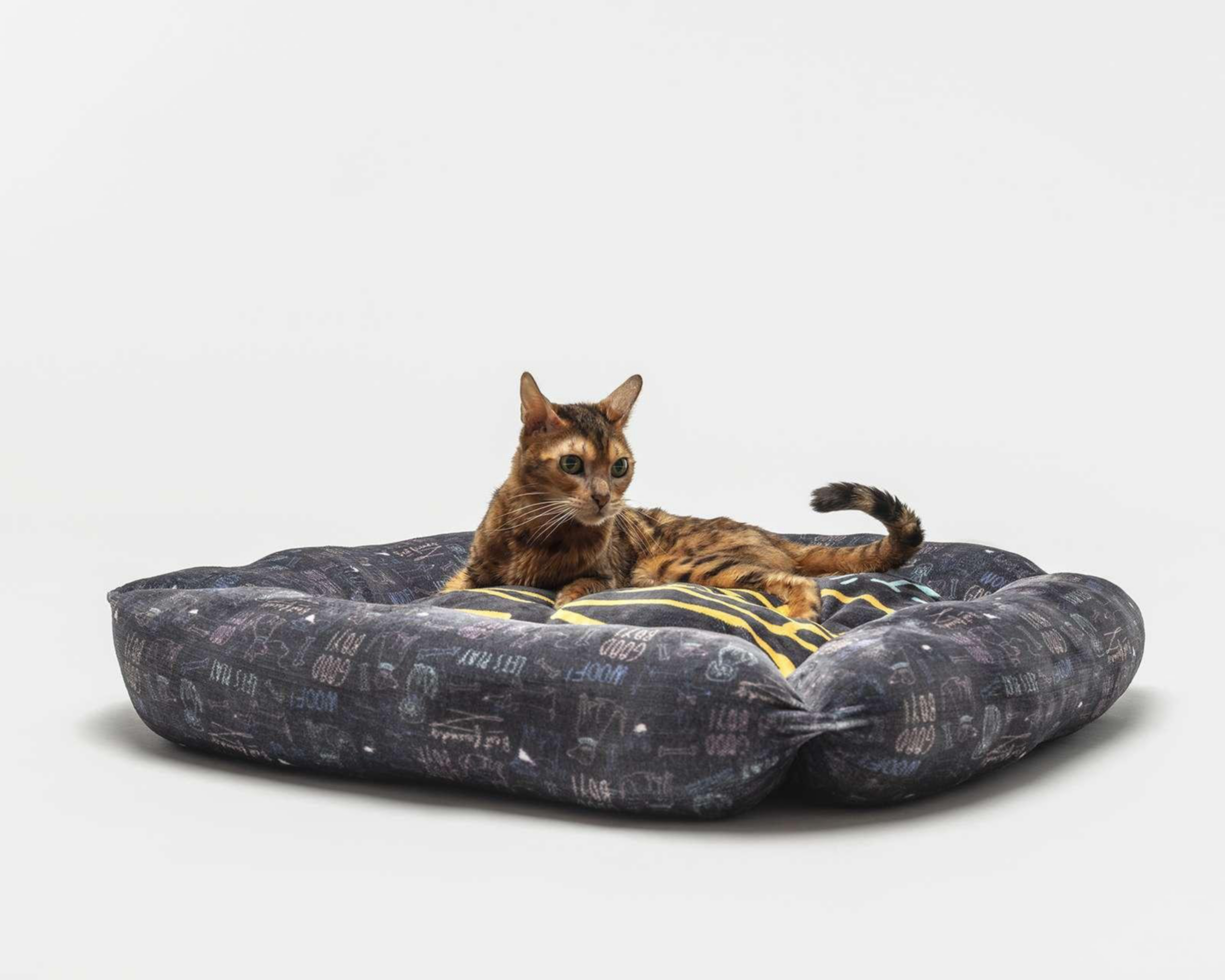 Foto 3 pulgar | Cama para Mascota Providencia 76 x 50 cm