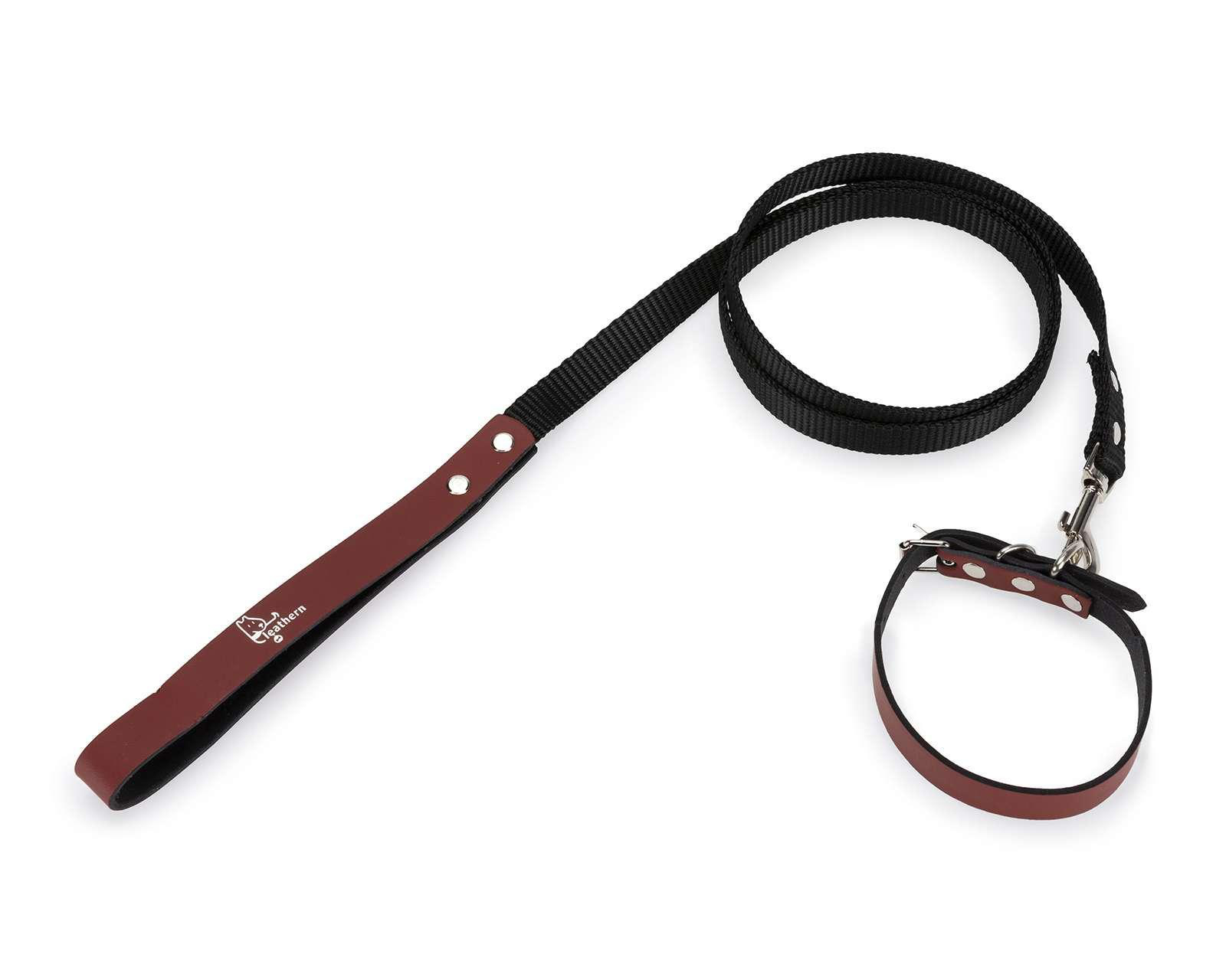 Correa y Collar Leathern para Mascota $119