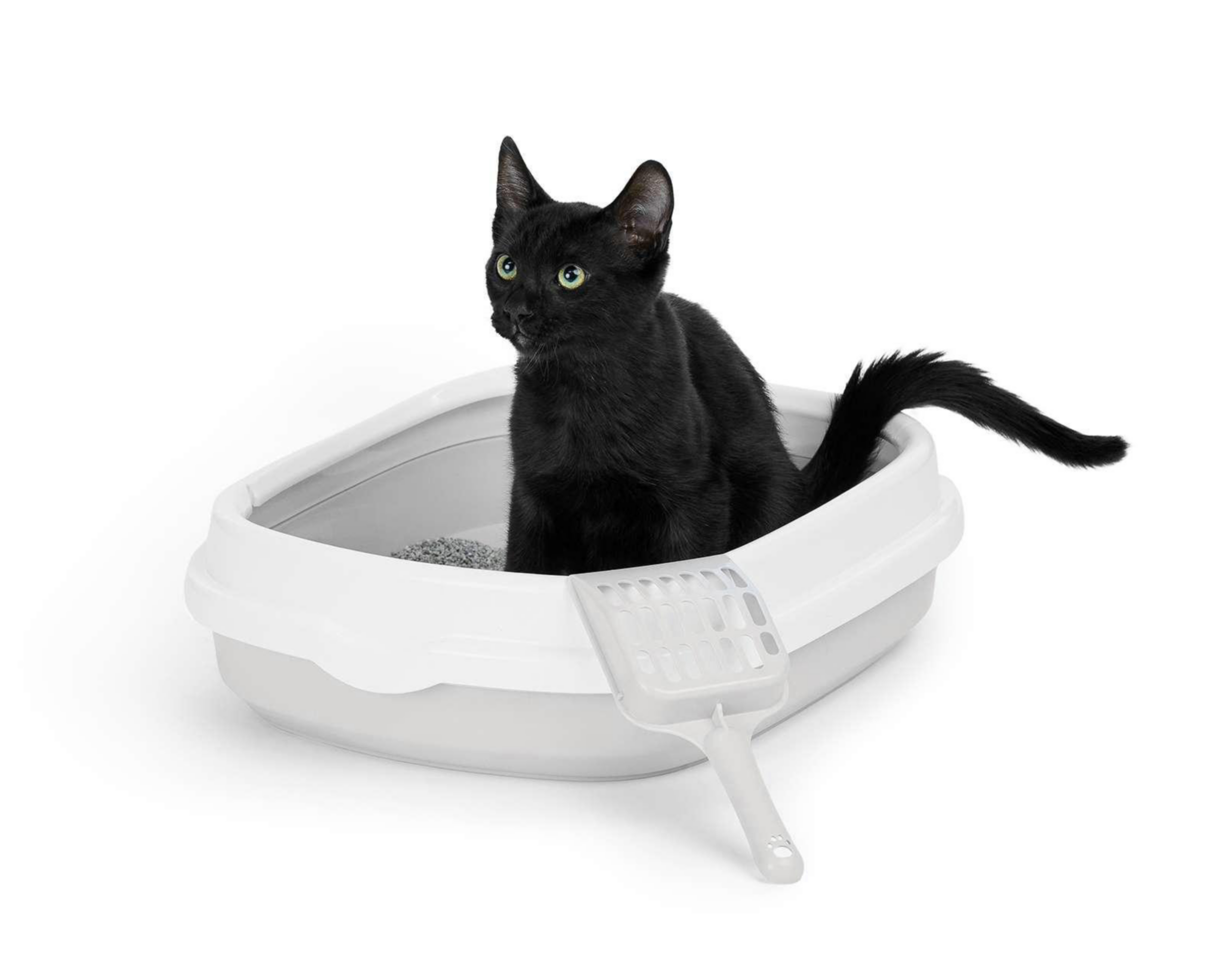 Arenero Huppy para Gato $199