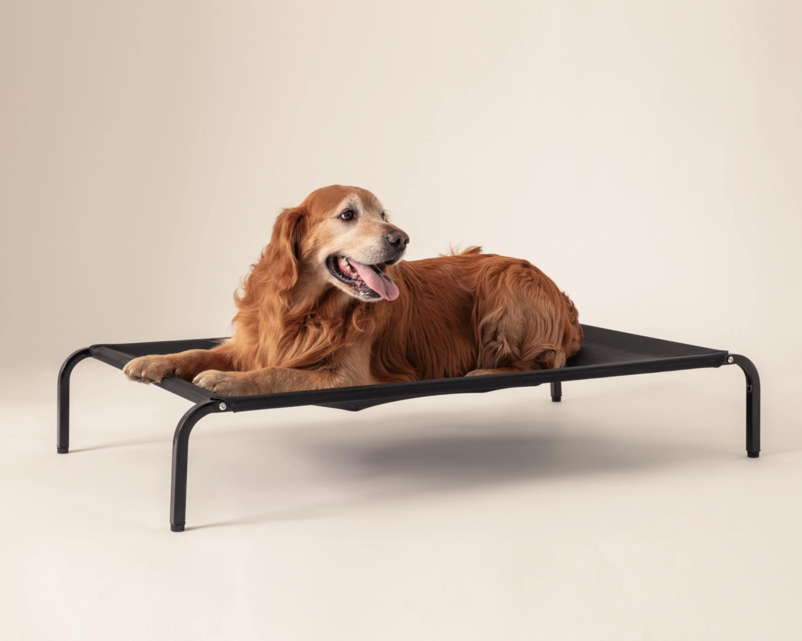 Foto 5 pulgar | Cama para Mascota Huppy 114 x 76 x 20 cm