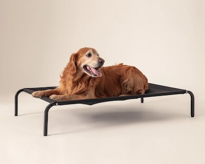 Foto 4 | Cama para Mascota Huppy 114 x 76 x 20 cm