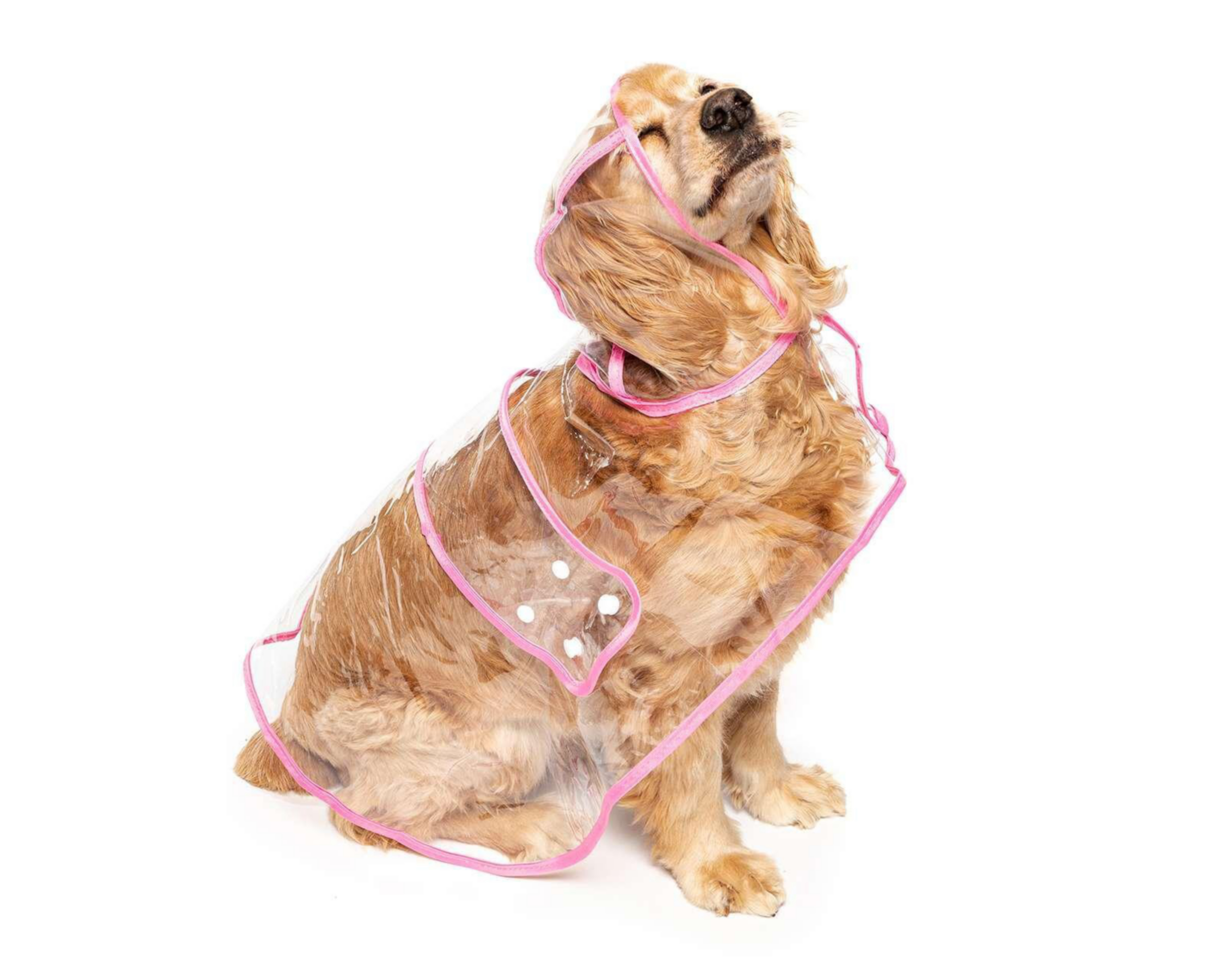 Impermeable Huppy para Perro $9