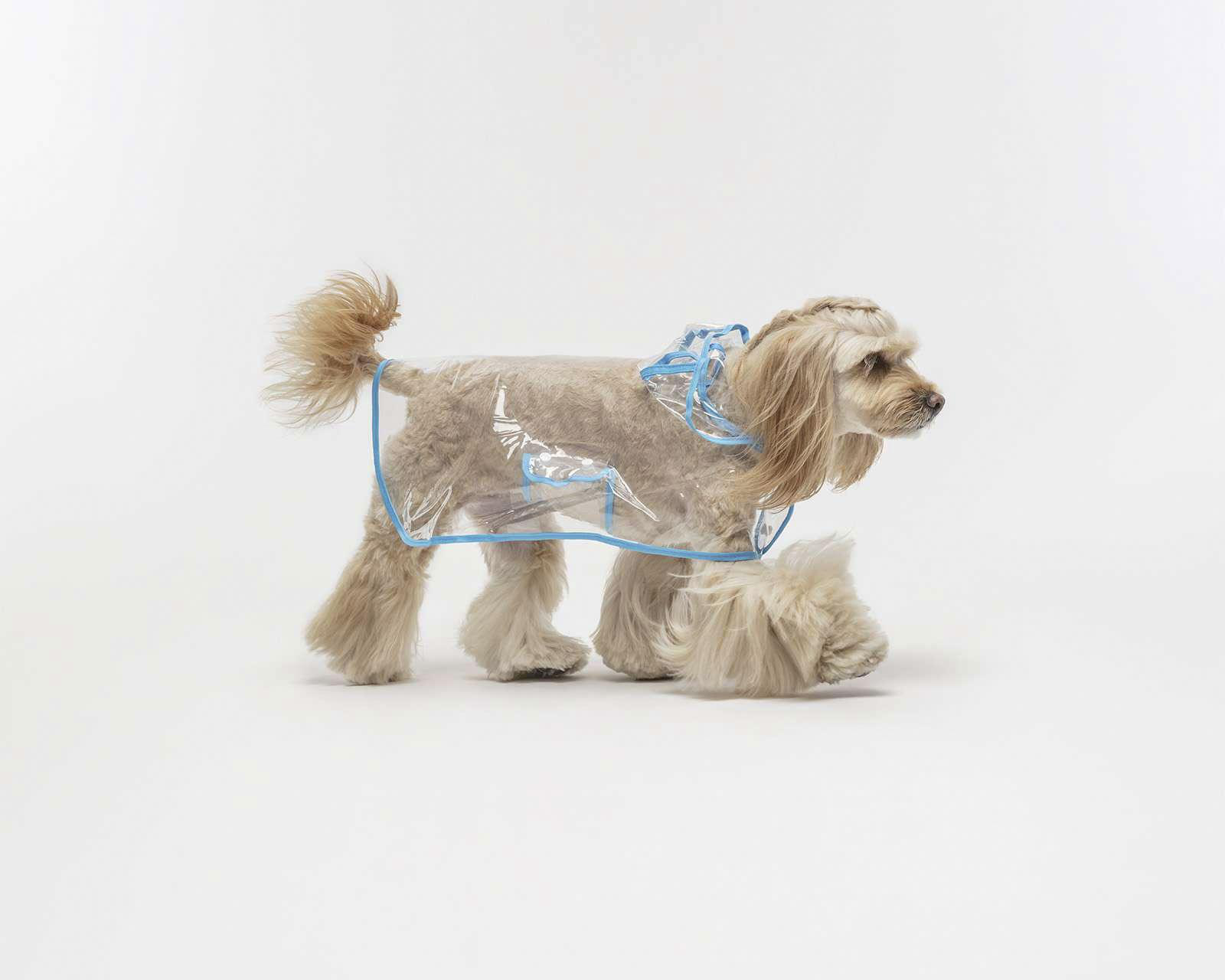 Impermeable Huppy para Perro