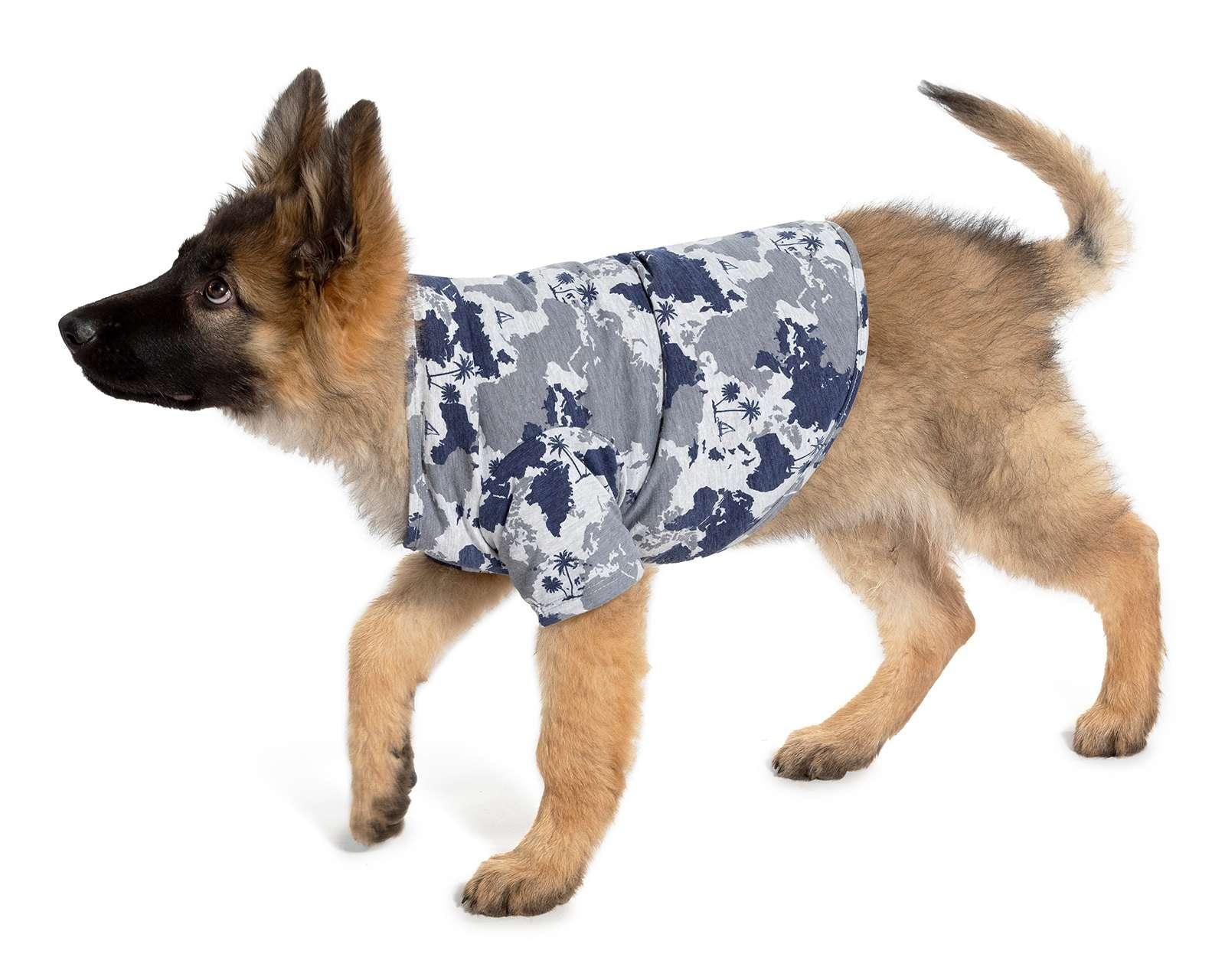 Ropa Para Perros Coppel Switzerland, SAVE 50% 