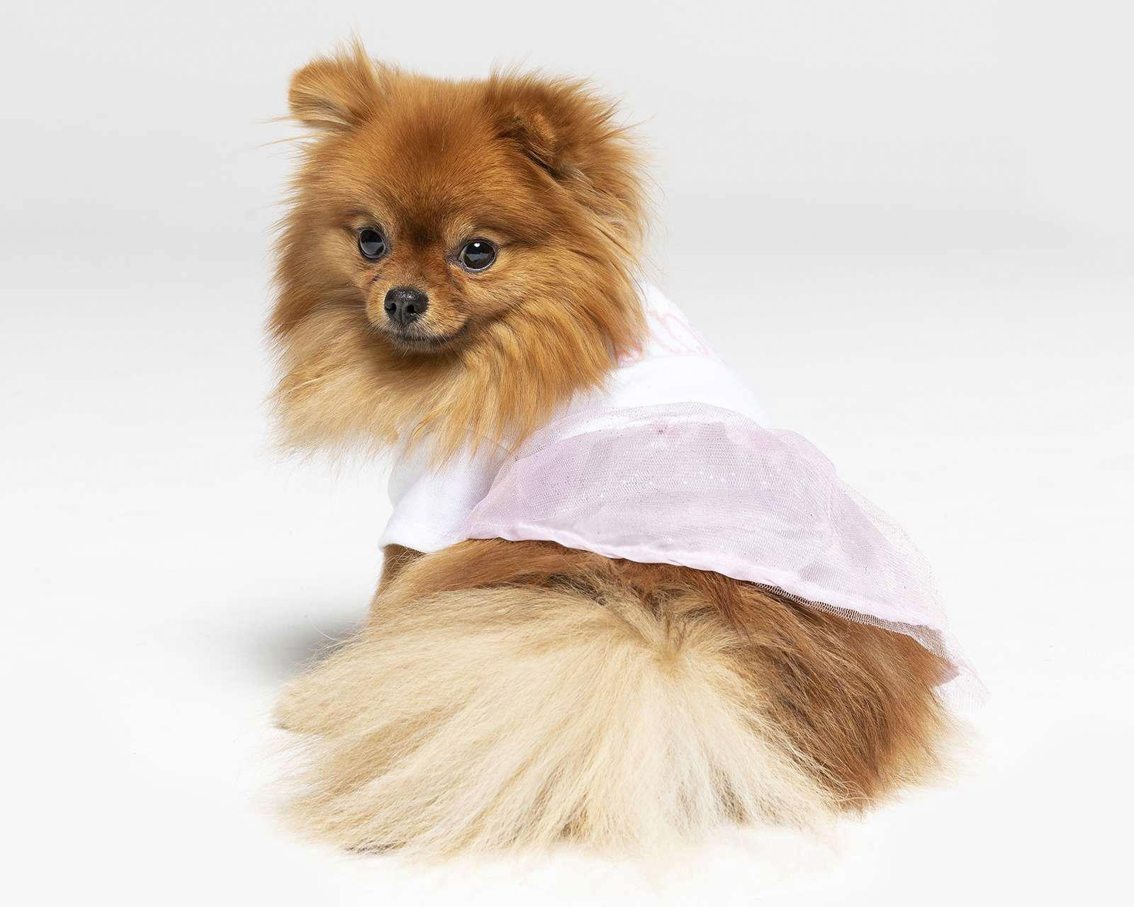 Vestido Huppy para Perro