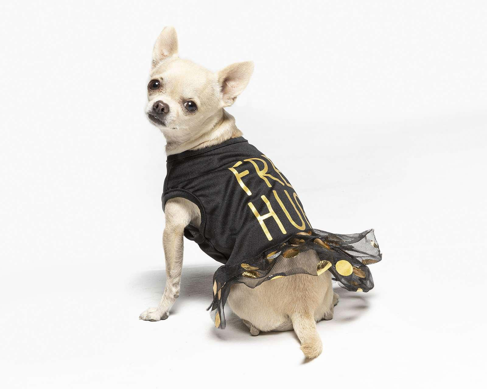 Foto 1 | Vestido Huppy para Perro