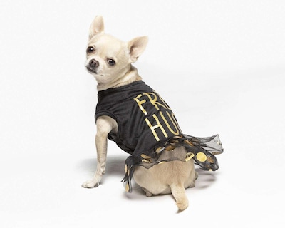 Foto 1 | Vestido Huppy para Perro