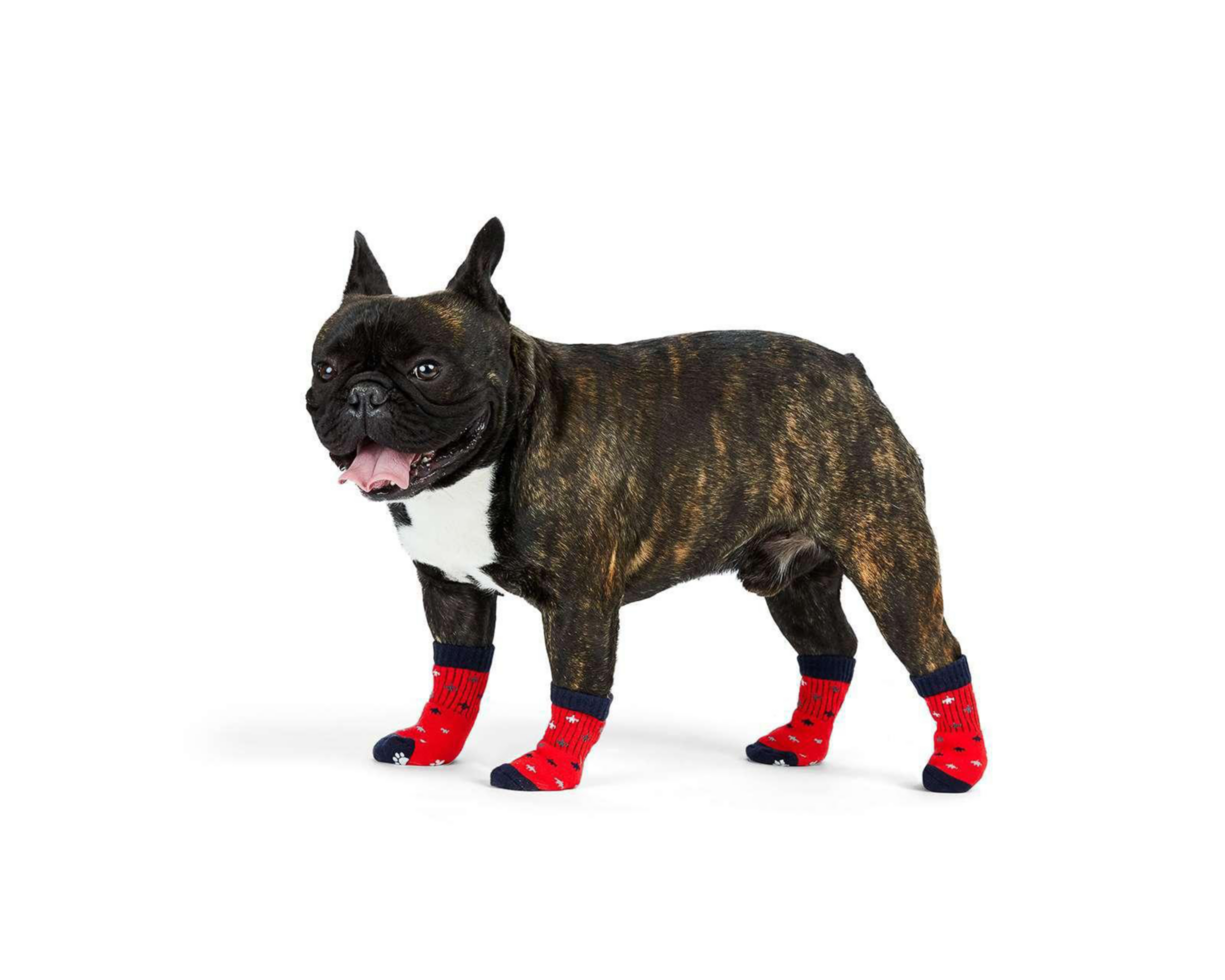 Calcetines Antiderrapantes Huppy para Perro