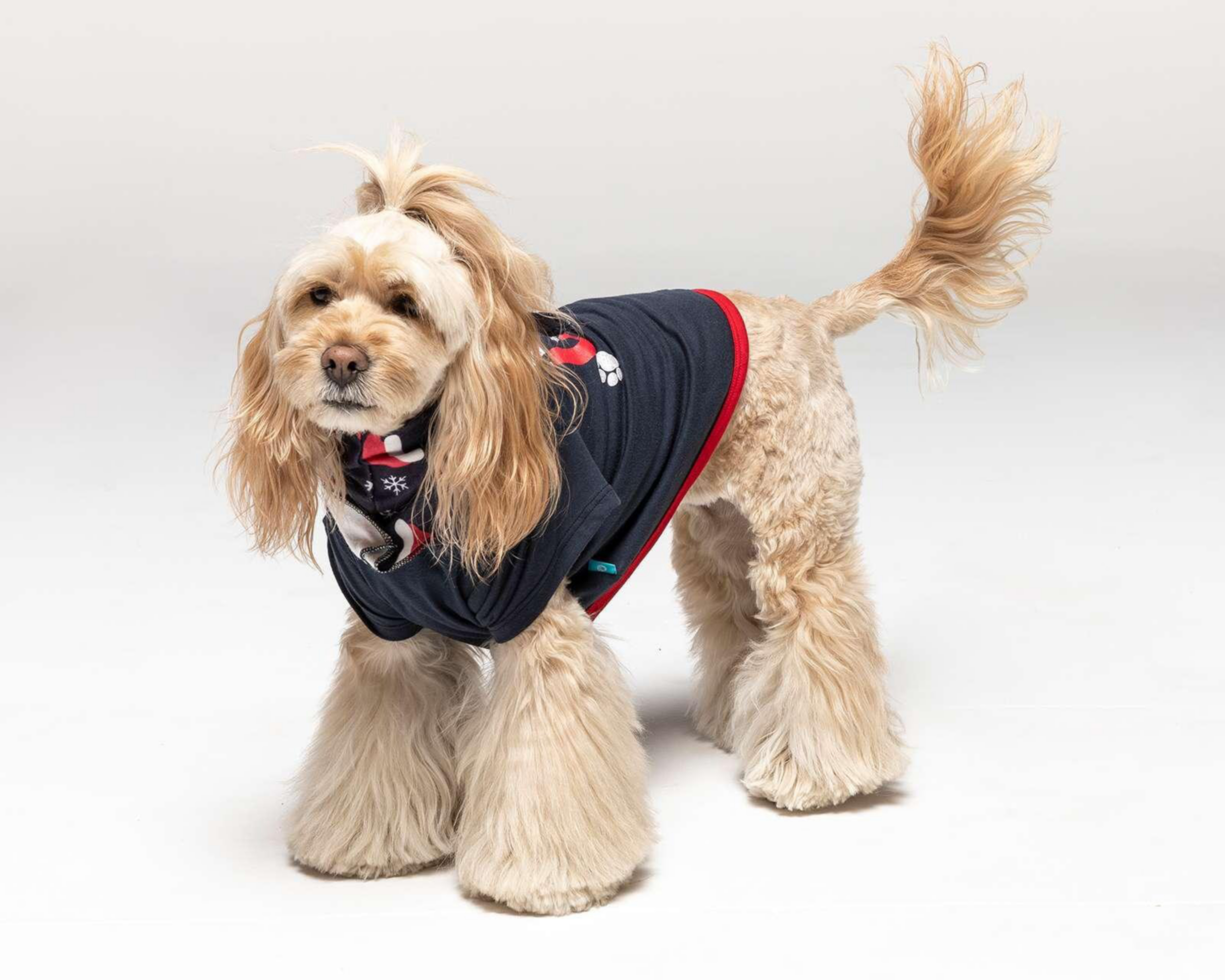 Pijama Huppy para Mascota