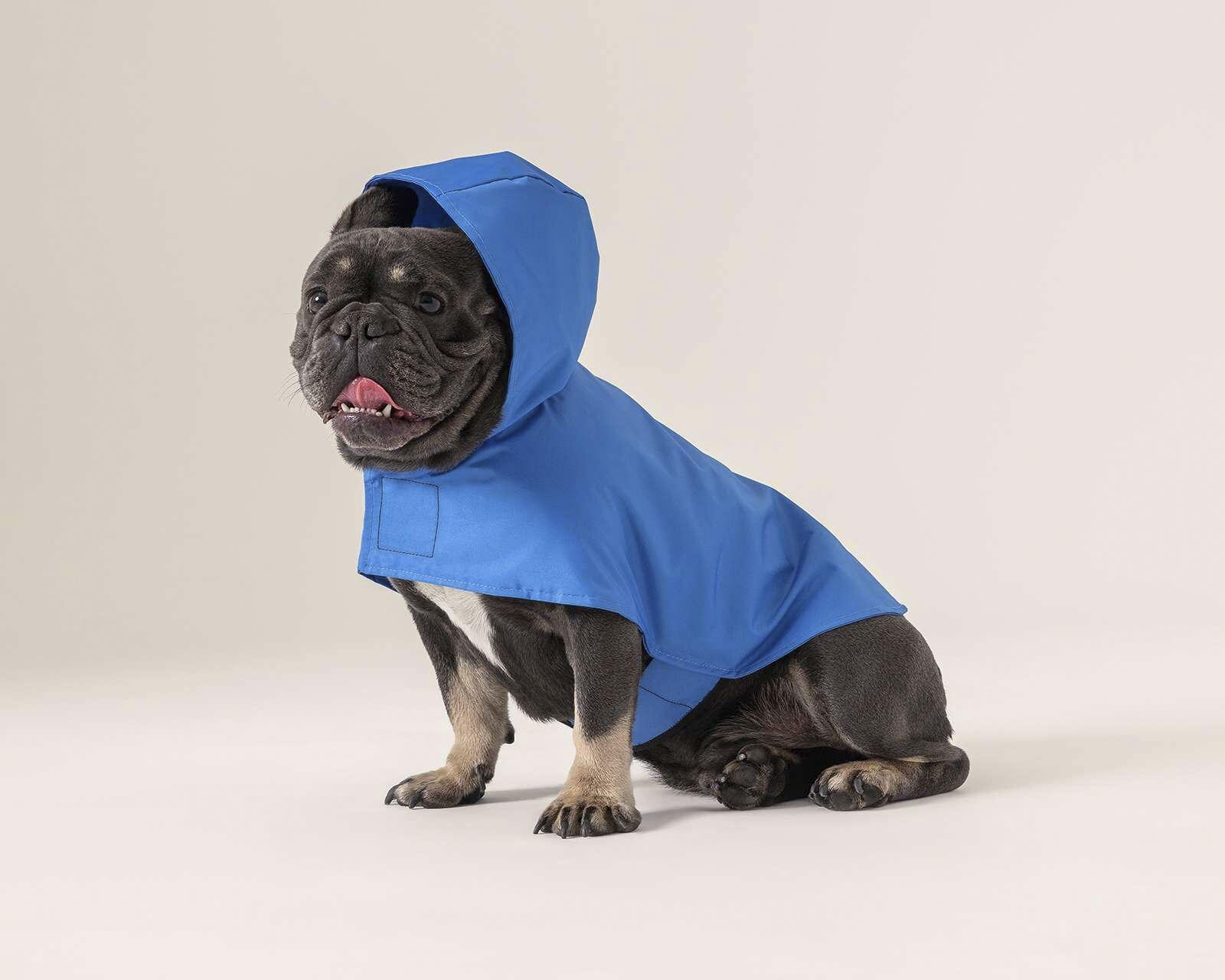 Ropa para discount perros pug coppel