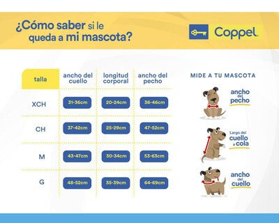 Foto 2 | Suéter BPS para Mascota