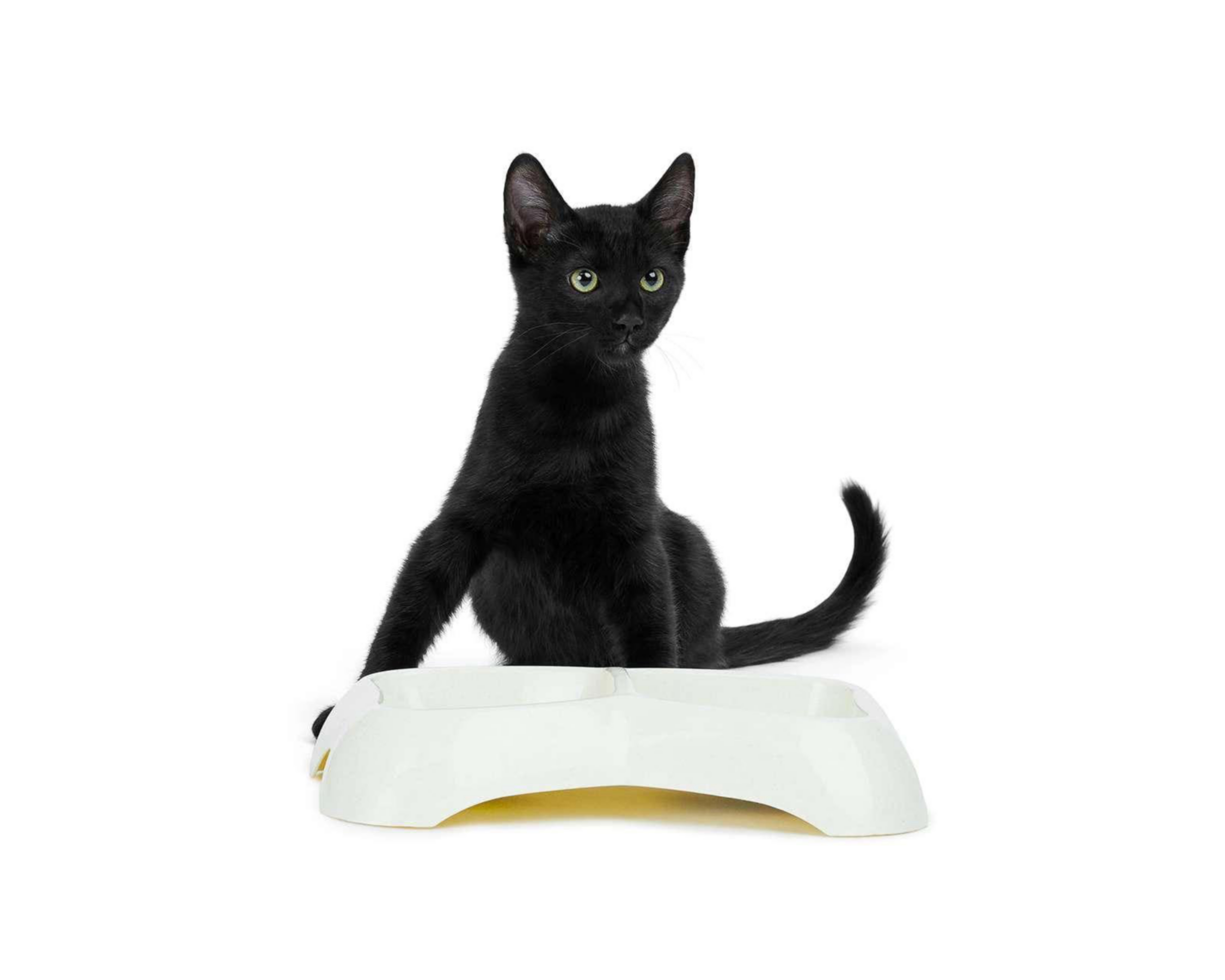 Foto 1 | Plato Huppy para Mascota