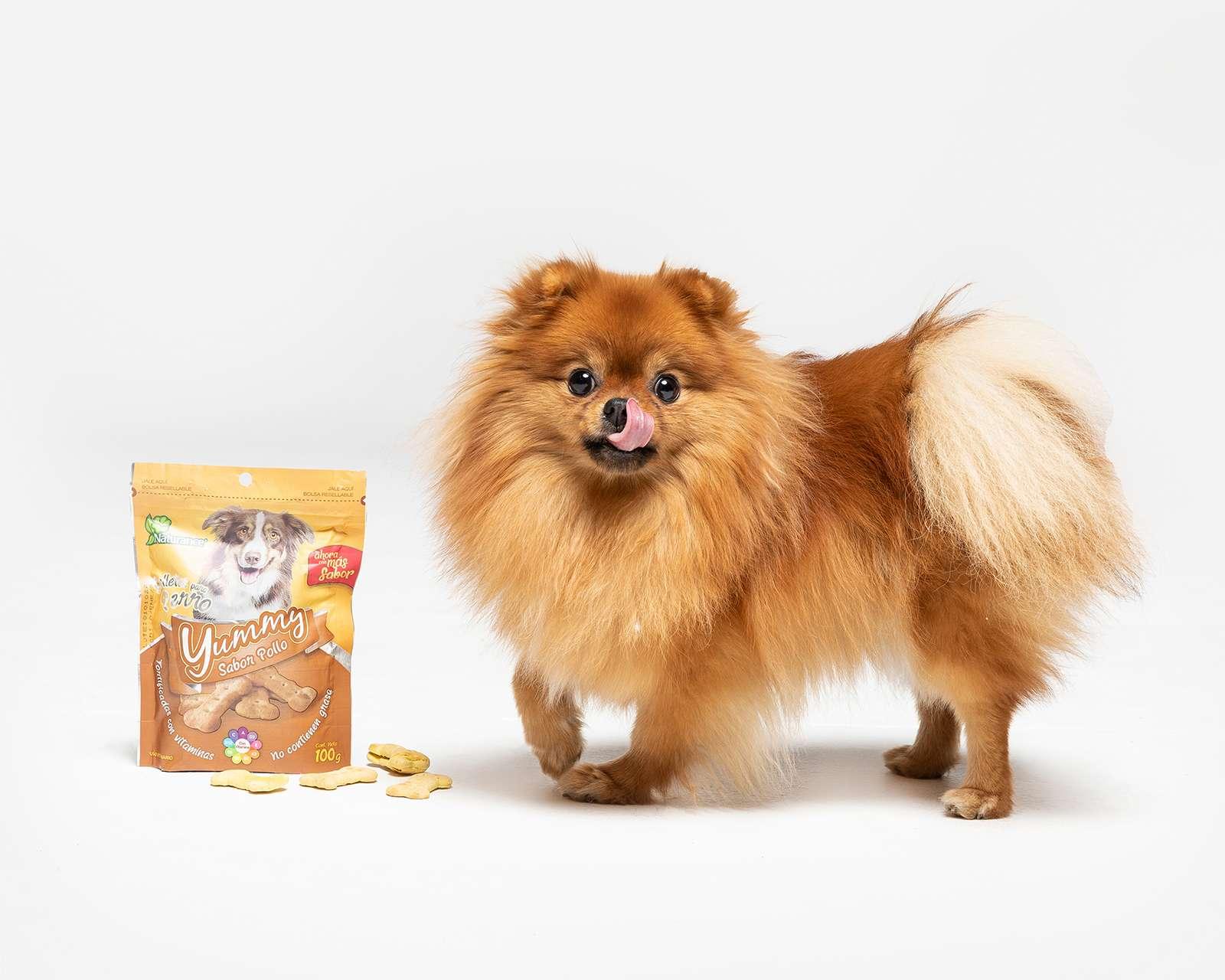 Foto 5 | Premios para Perro Naturance 100 g