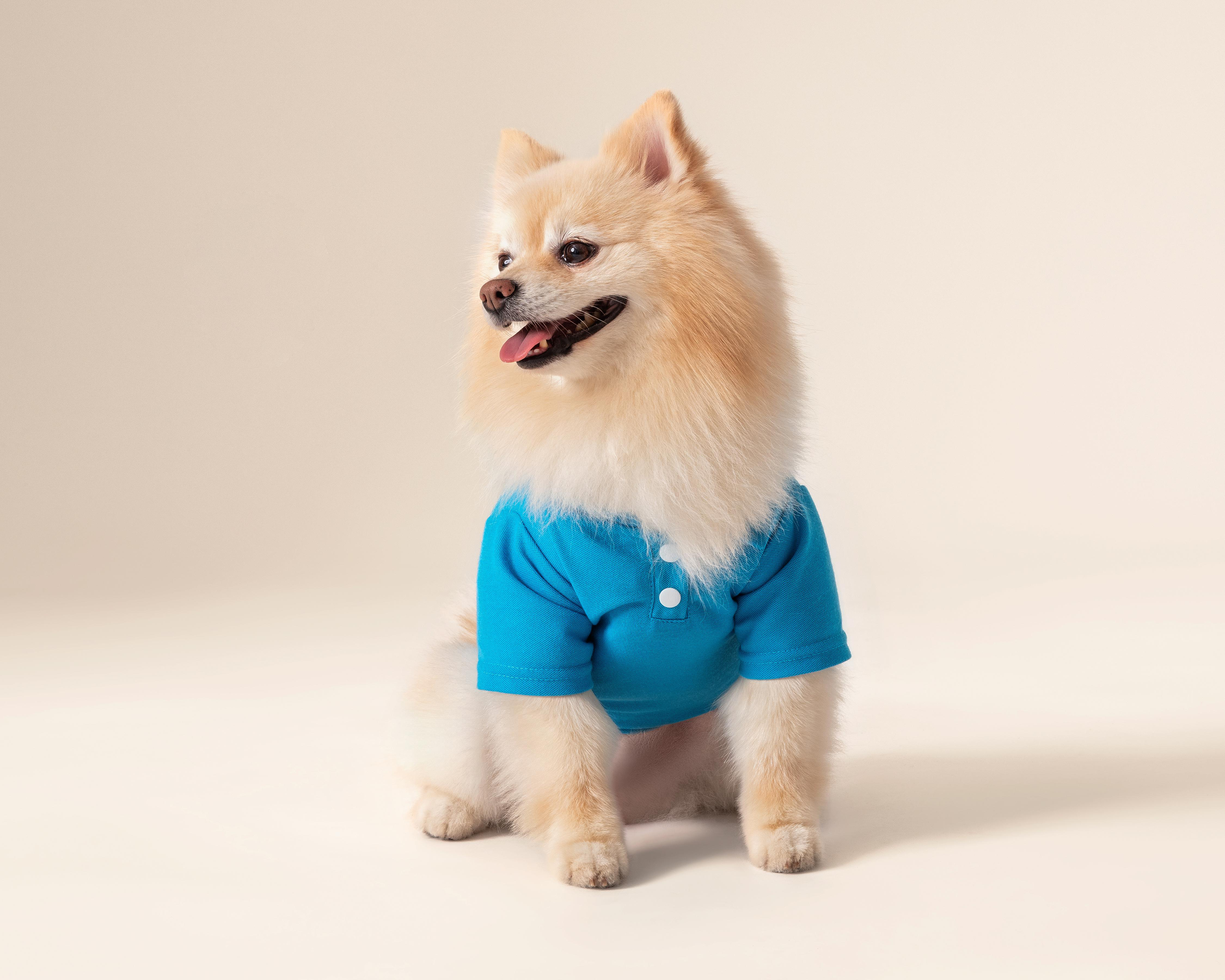 Playera Huppy para Mascota