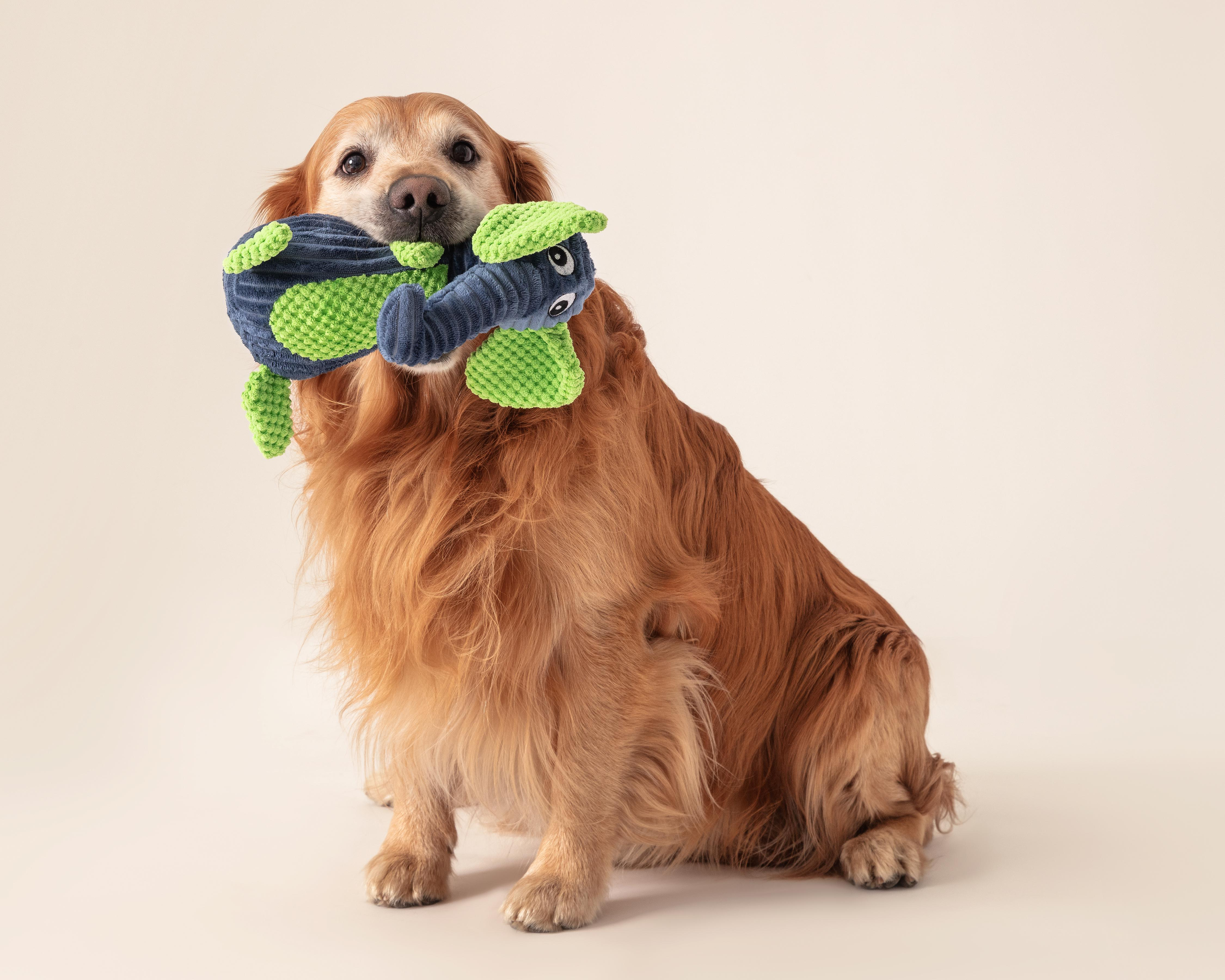 Juguete Huppy para Mascota