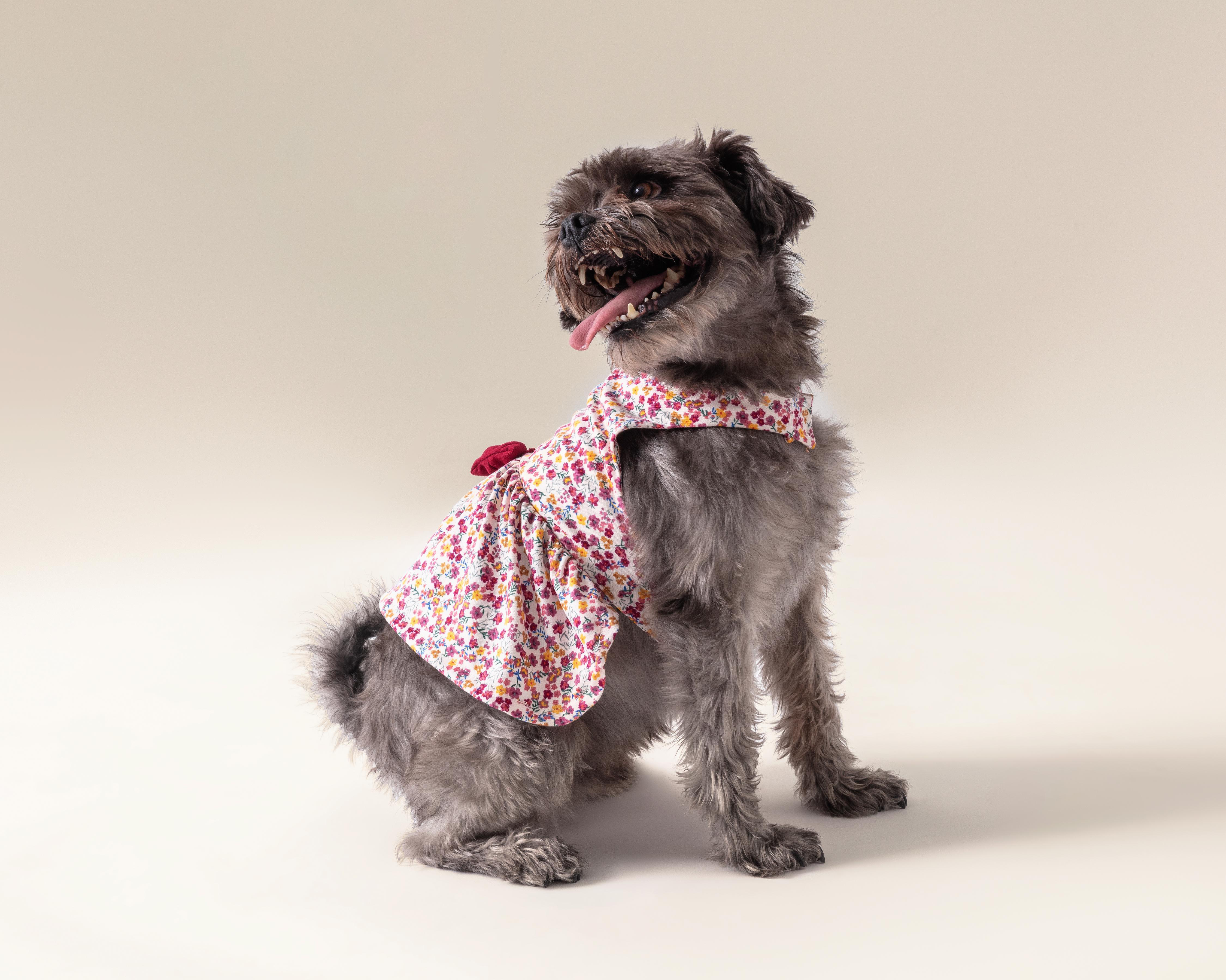 Vestido Huppy para Mascota $99