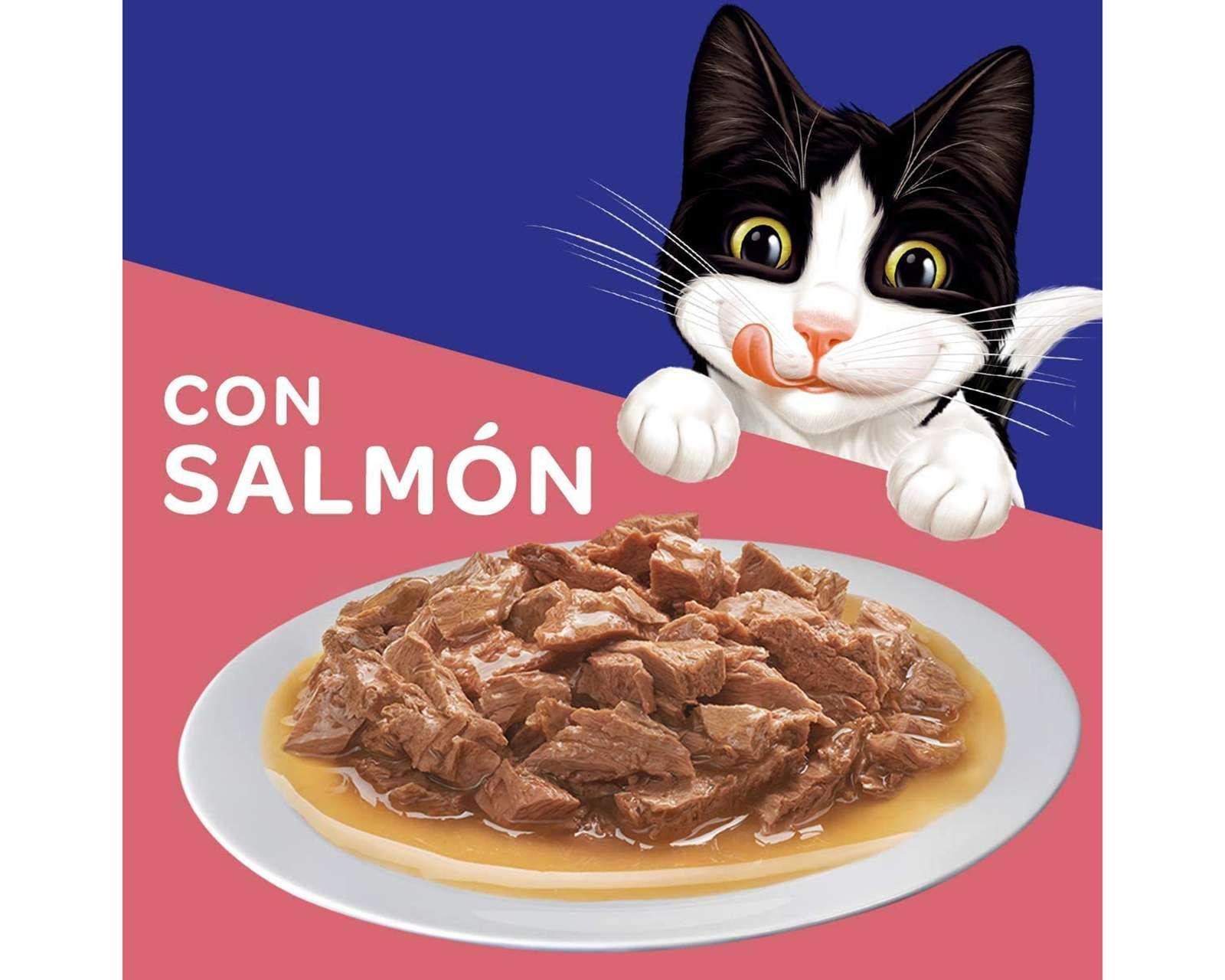 Foto 4 pulgar | Alimento para Gato Purina Felix Cachorro 24 Sobres