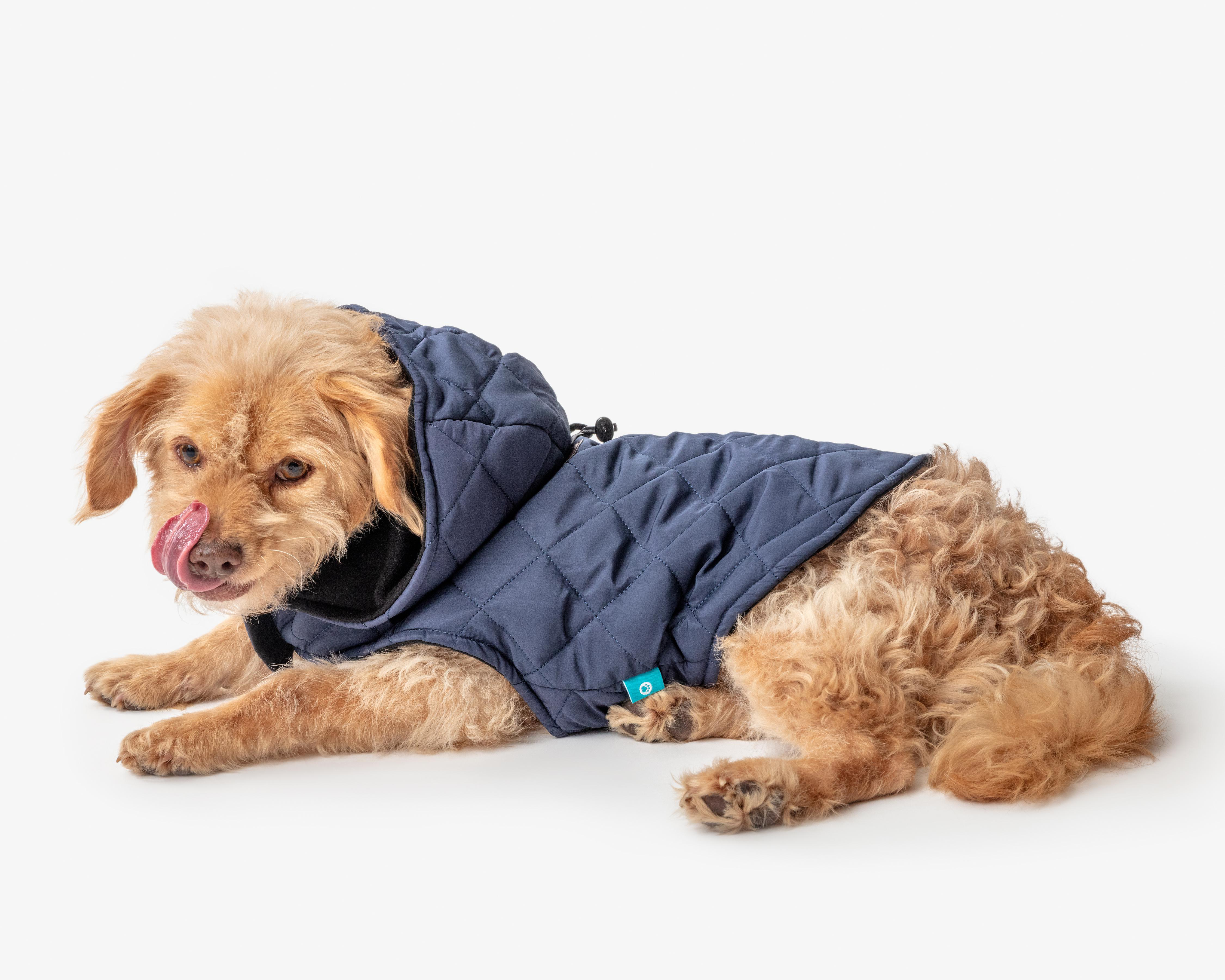 Chaleco para Perro Huppy $108