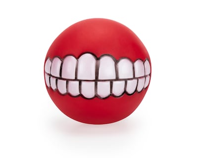 Foto 1 | Pelota Grandpet para Perro