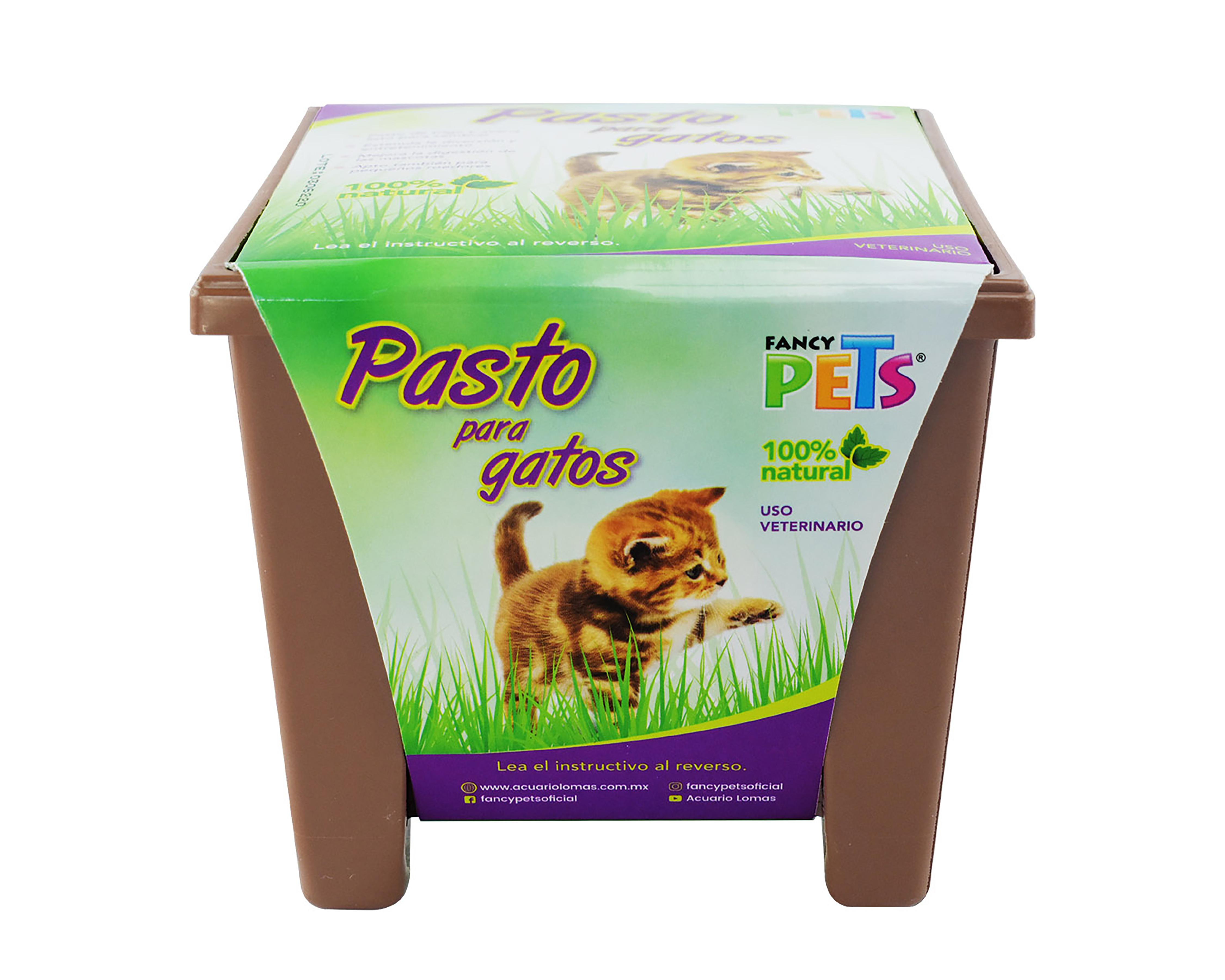 Foto 2 pulgar | Pasto para Gatos Fancy Pets