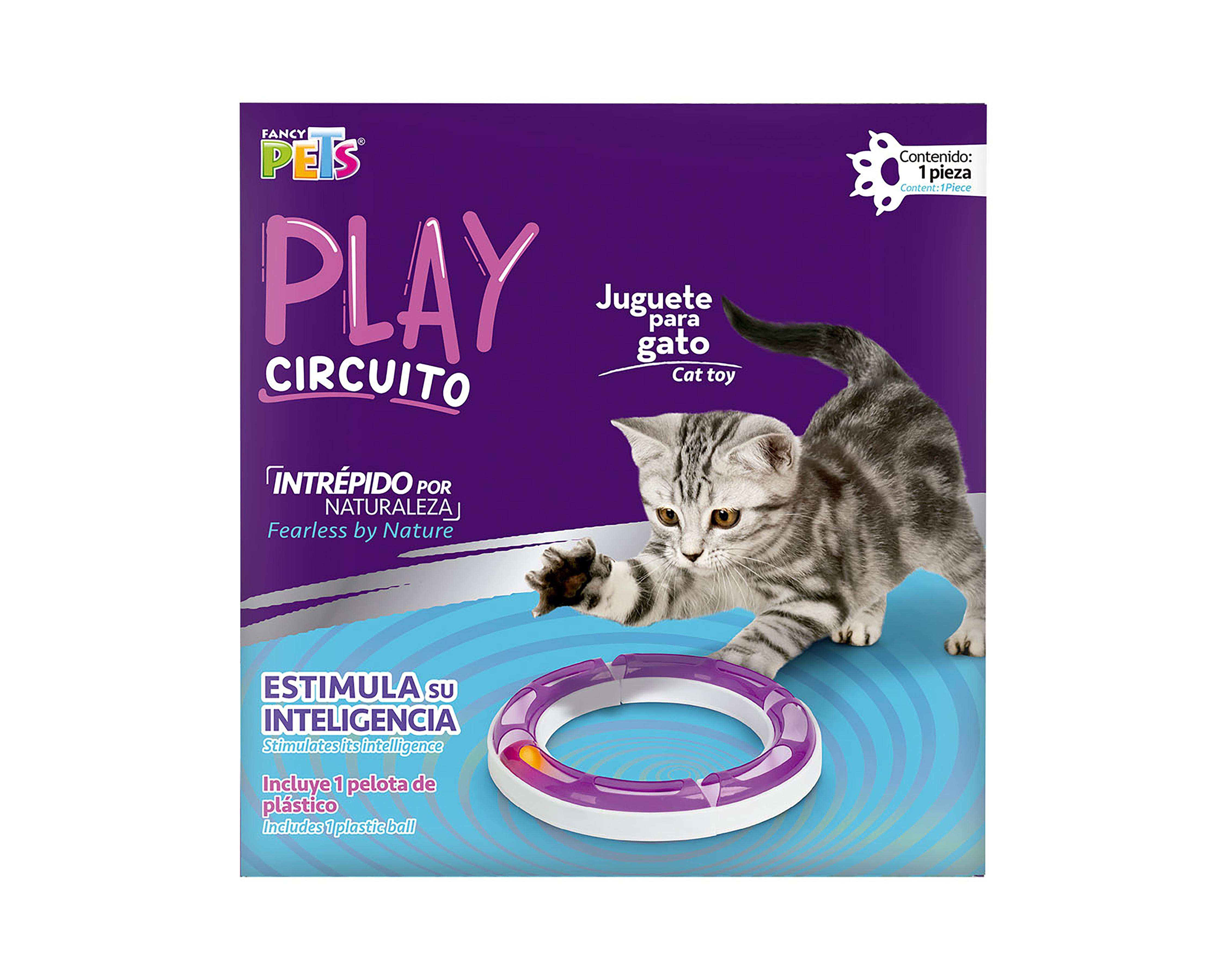 Circuito de Juego para Gato Fancy Pets con Pelota $210