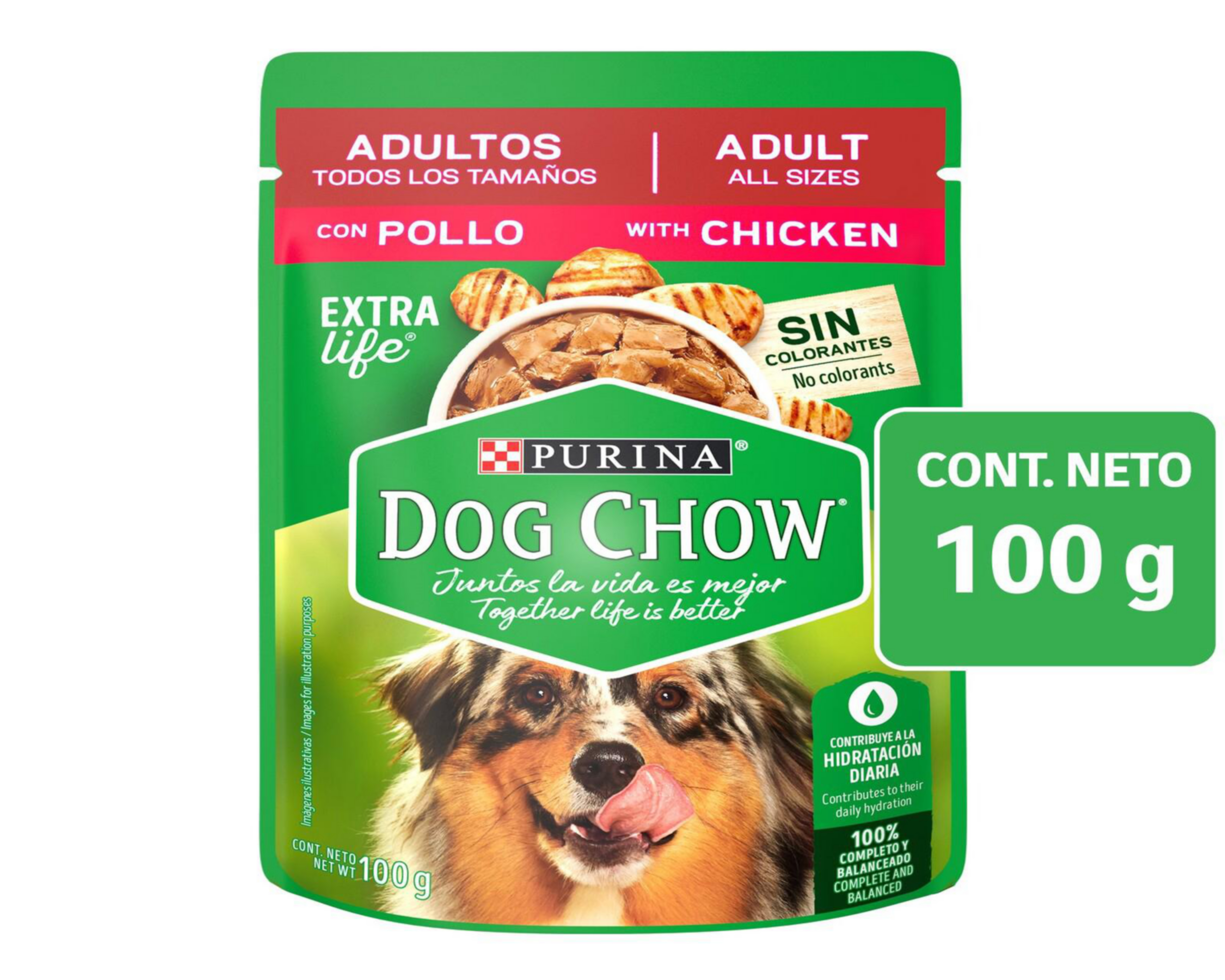 Foto 2 pulgar | Alimento para Perro Purina Dog Chow Adulto 100 g