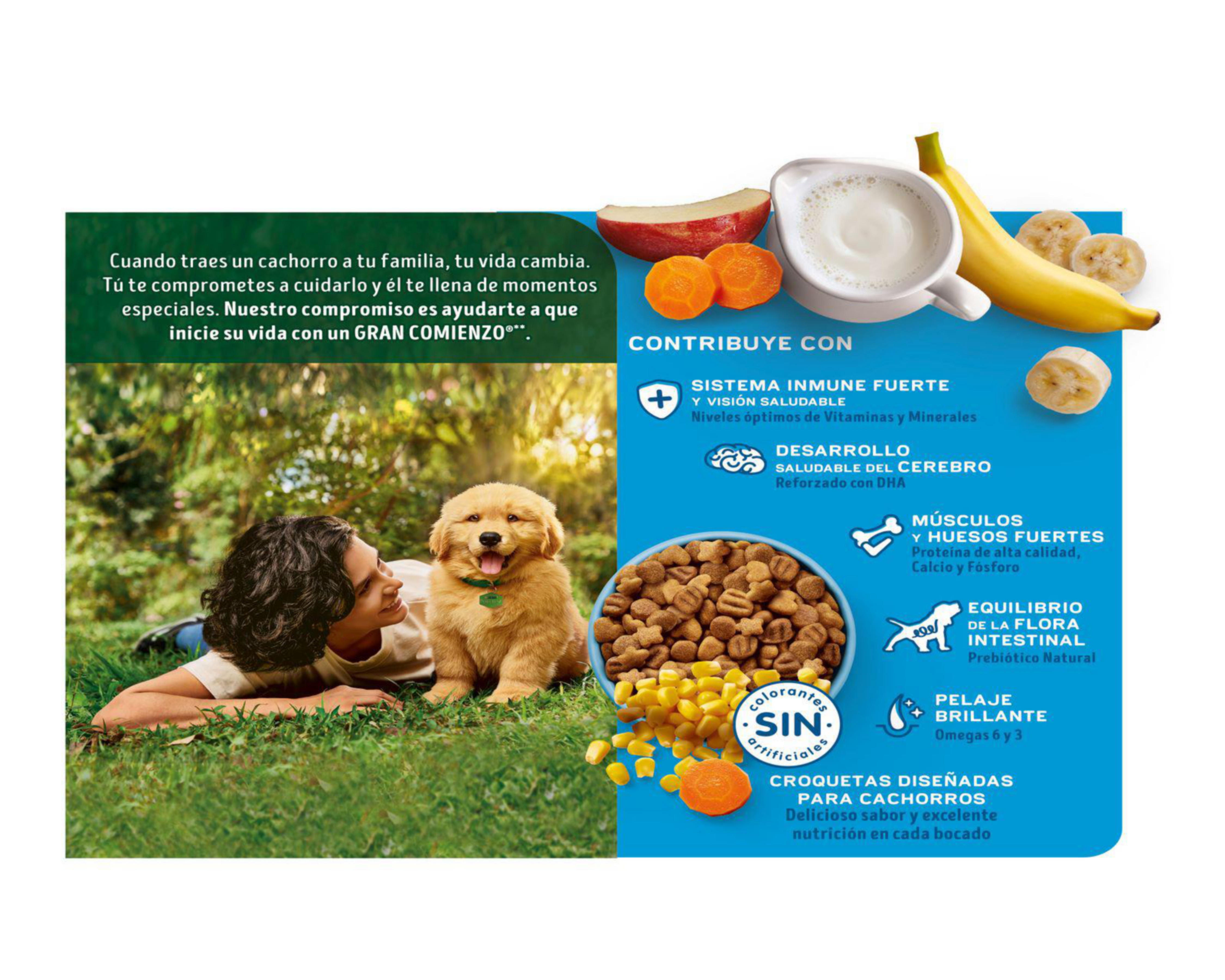 Foto 4 pulgar | Alimento para Perro Purina Dog Chow Cachorro 2 kg