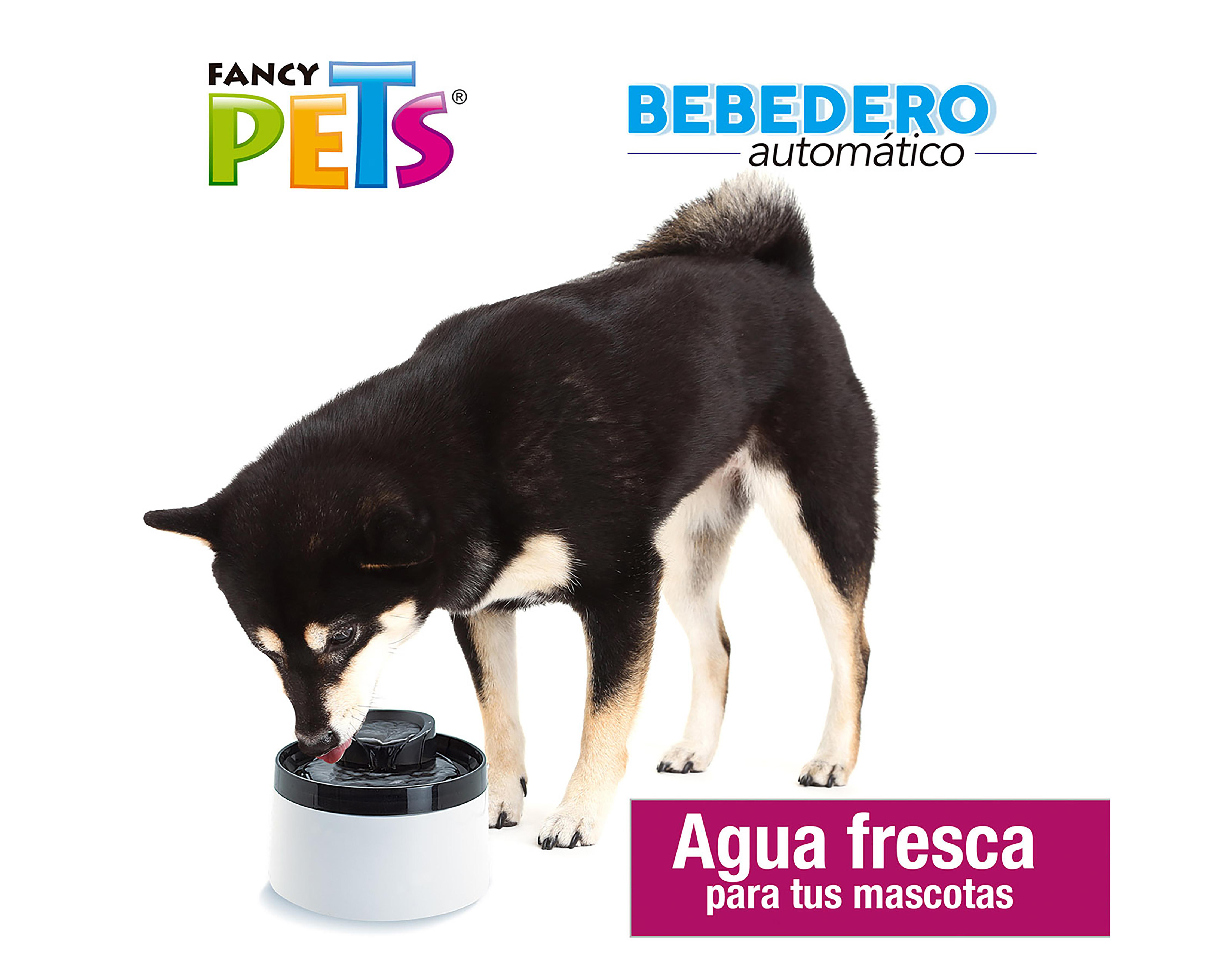 Foto 4 pulgar | Bebedero para Mascotas Fancy Pets Automático