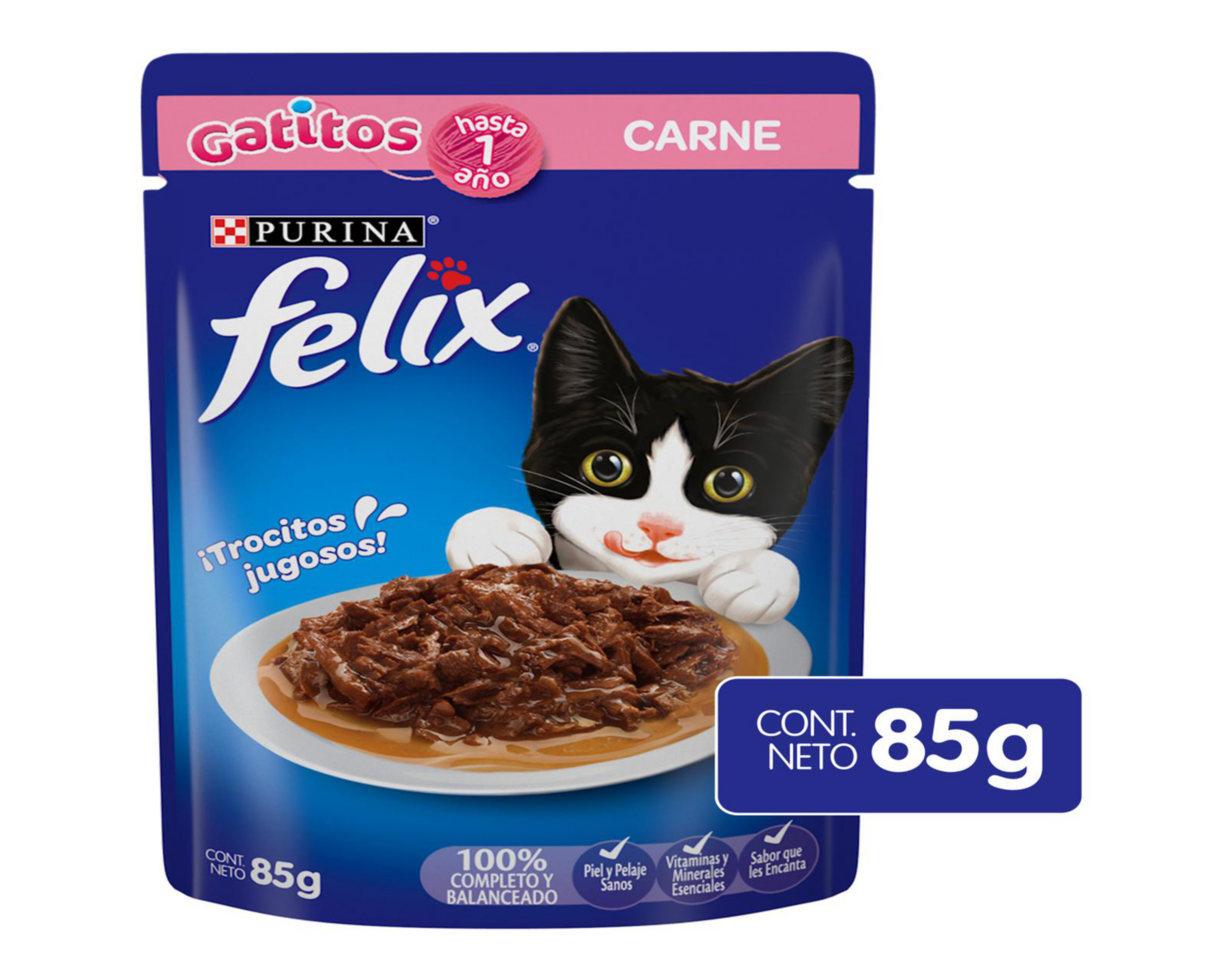 Foto 1 | Alimento para Gato Purina Felix Cachorro 85 g