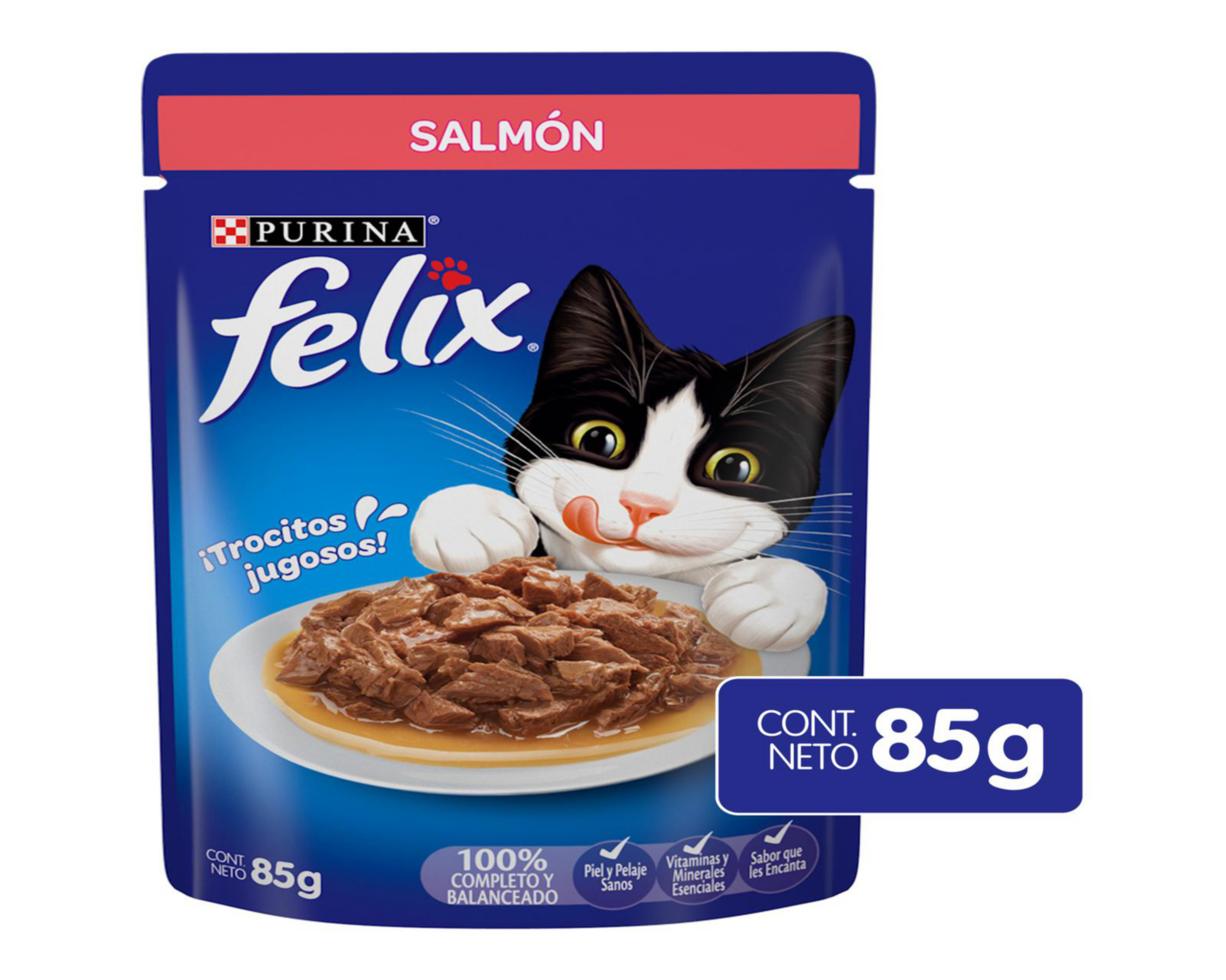 Foto 2 pulgar | Alimento para Gato Purina Felix Raza Mediana 85 g