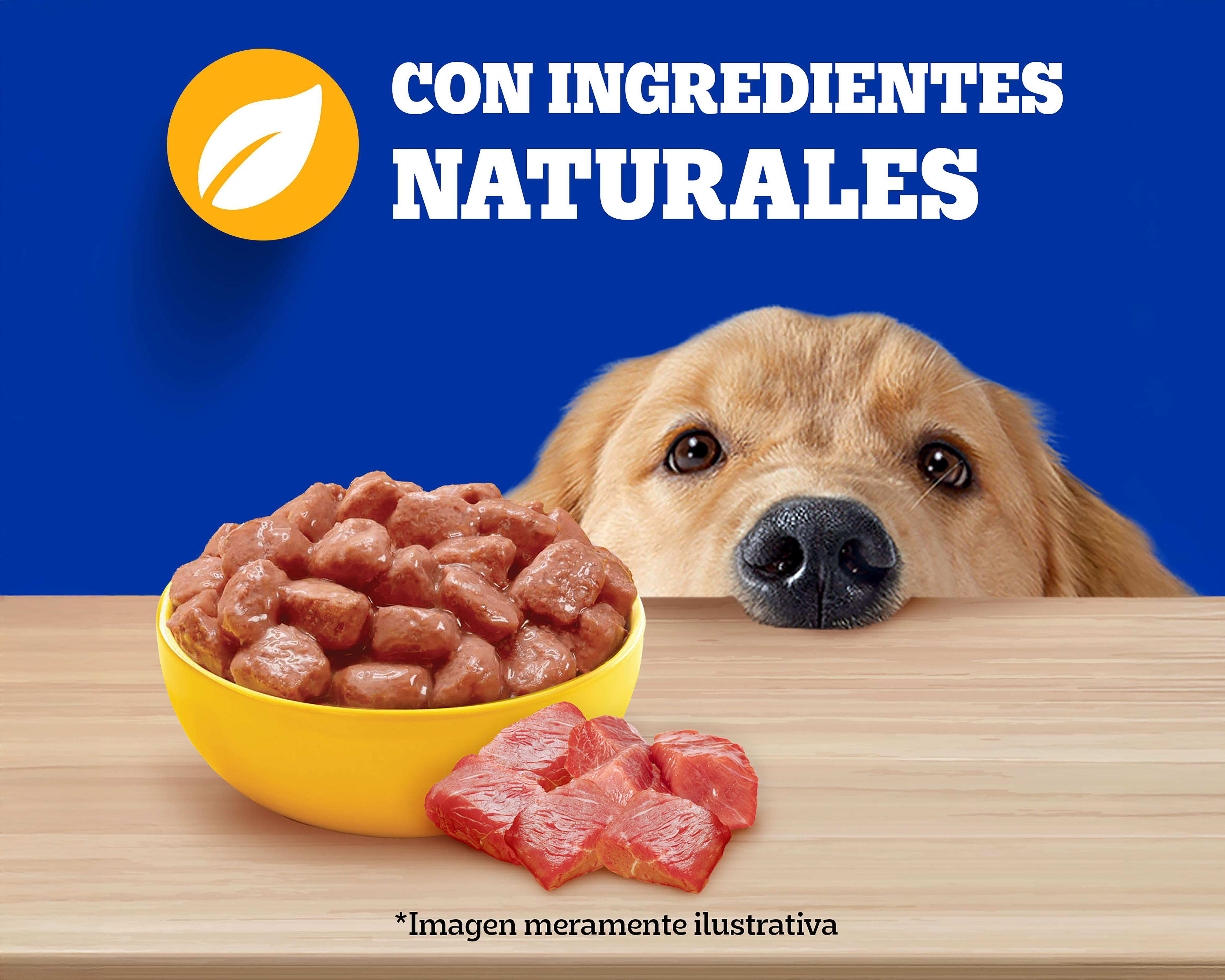 Foto 3 | Alimento para Perro Pedigree Adulto 100 g