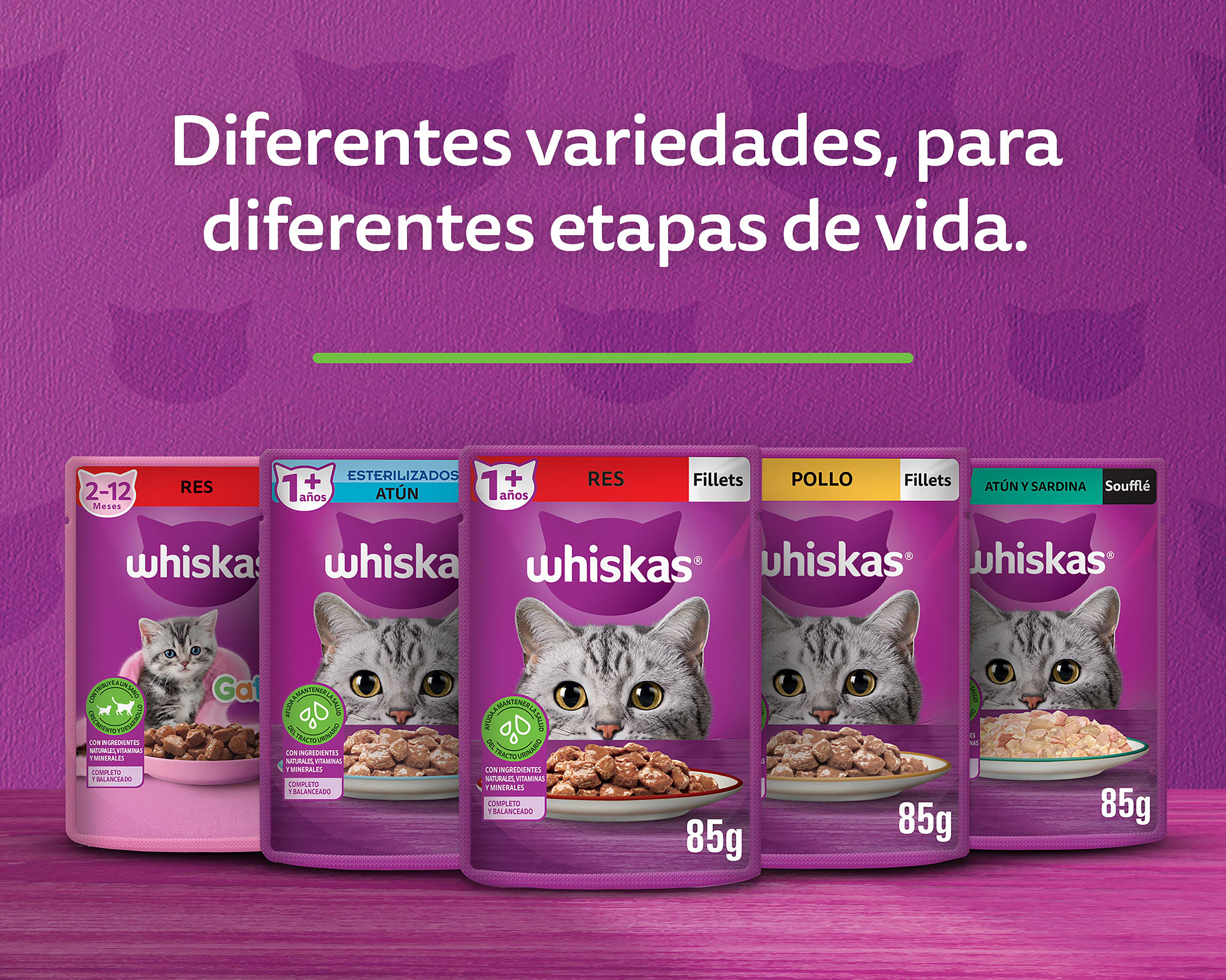 Foto 5 pulgar | Alimento para Gato Whiskas Adulto 85 g