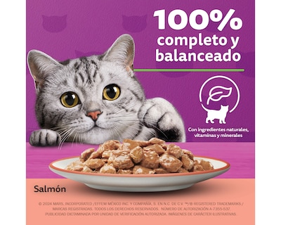 Foto 4 | Alimento para Gato Whiskas Adulto 85 g