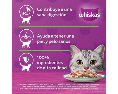 Foto 4 | Alimento para Gato Whiskas Adulto 85 g