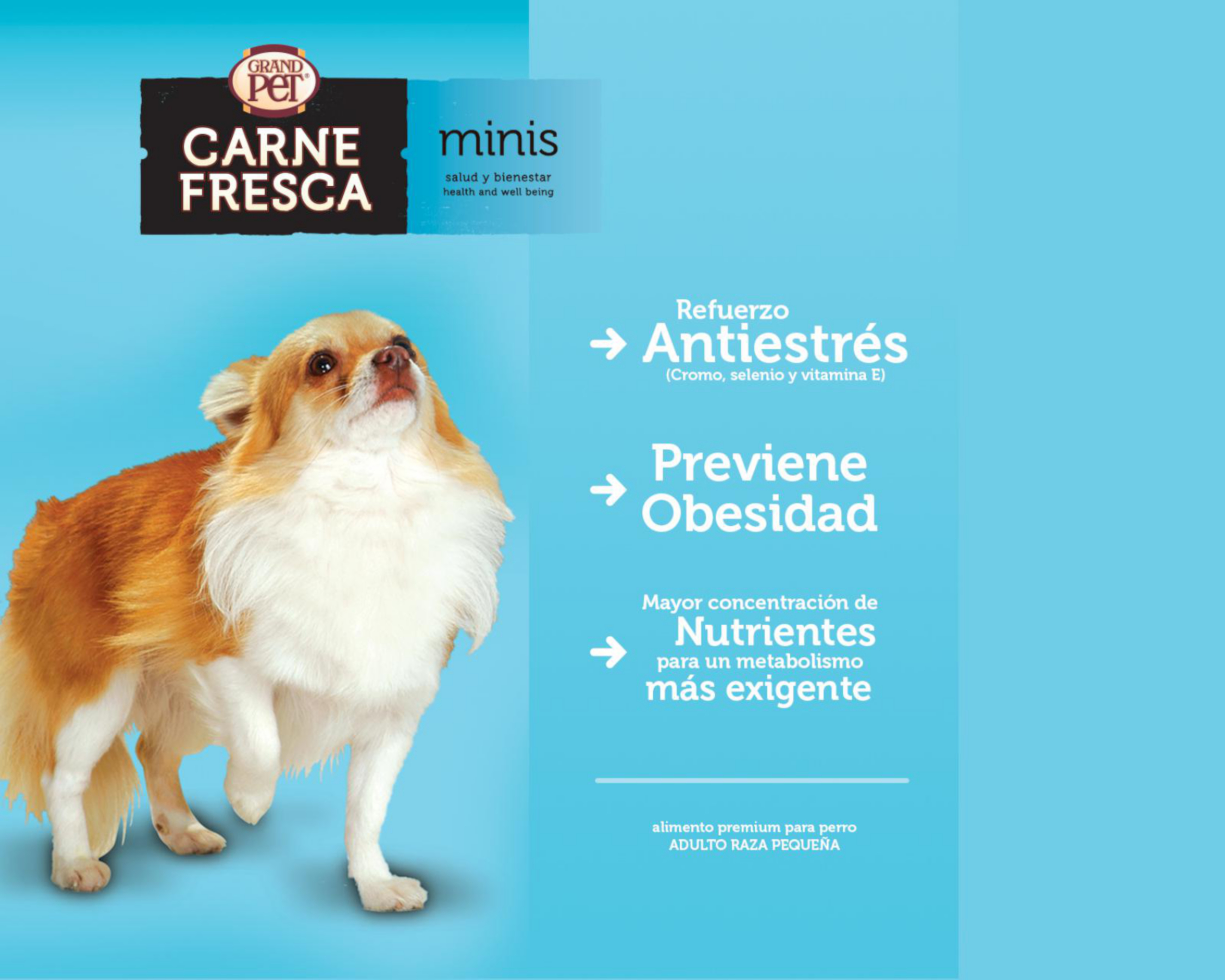 Foto 5 | Alimento para Perro Grandpet Adulto Raza Pequeña 500 g