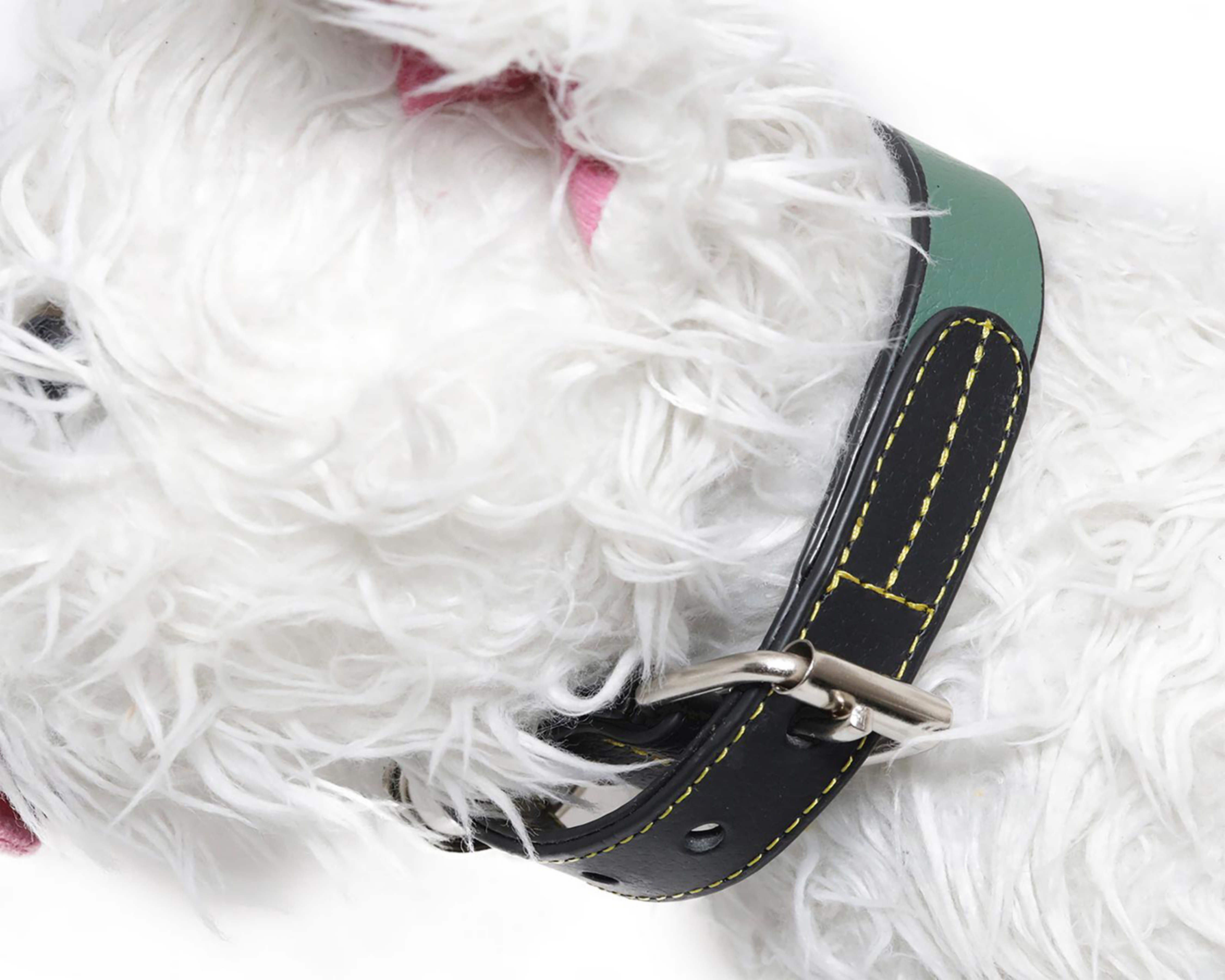 Foto 4 pulgar | Collar para Perro Zatópet