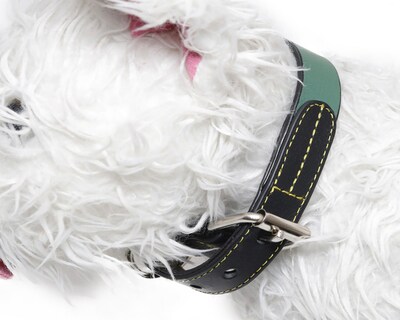 Foto 3 | Collar para Perro Zatópet