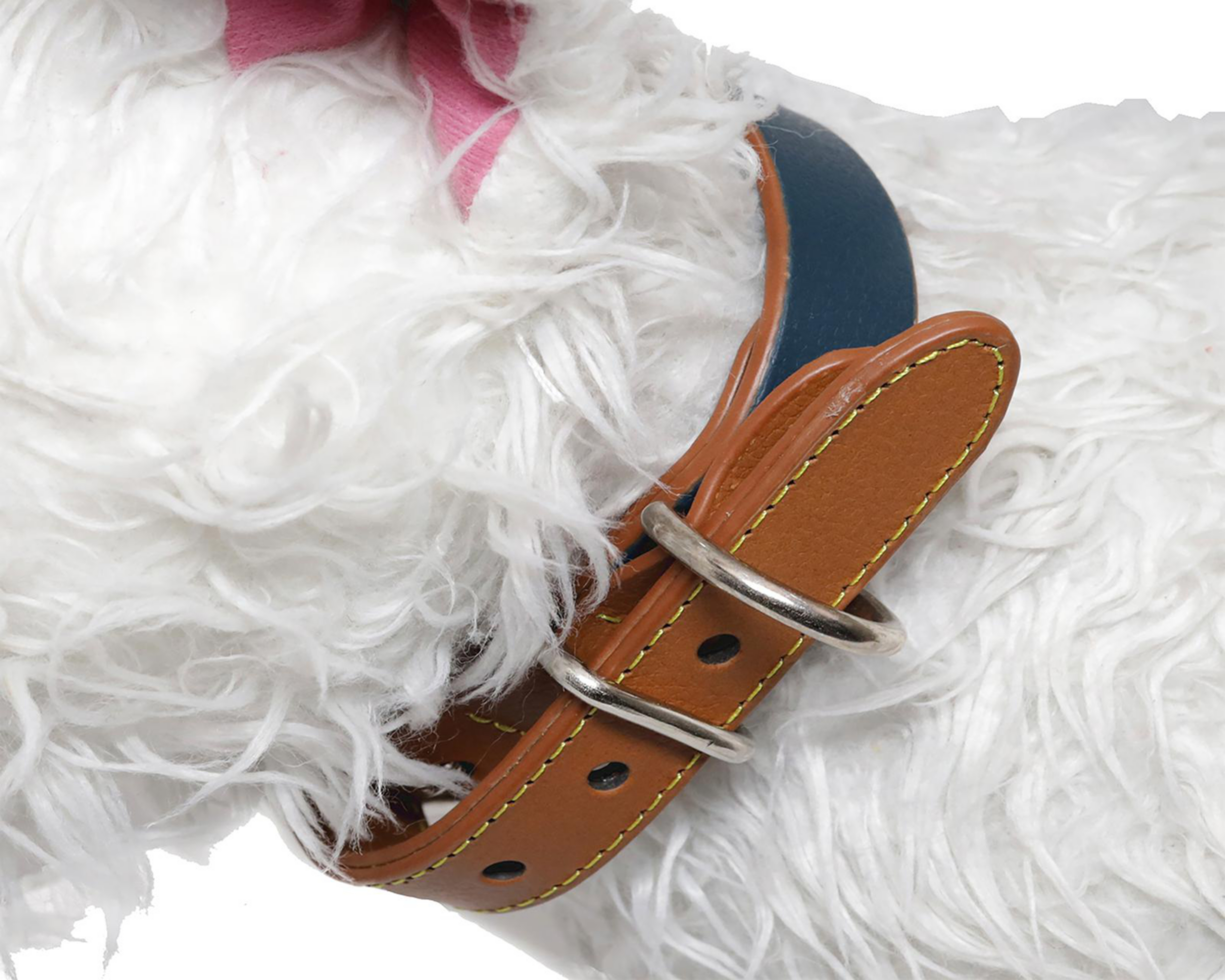 Foto 4 pulgar | Collar para Perro Zatópet