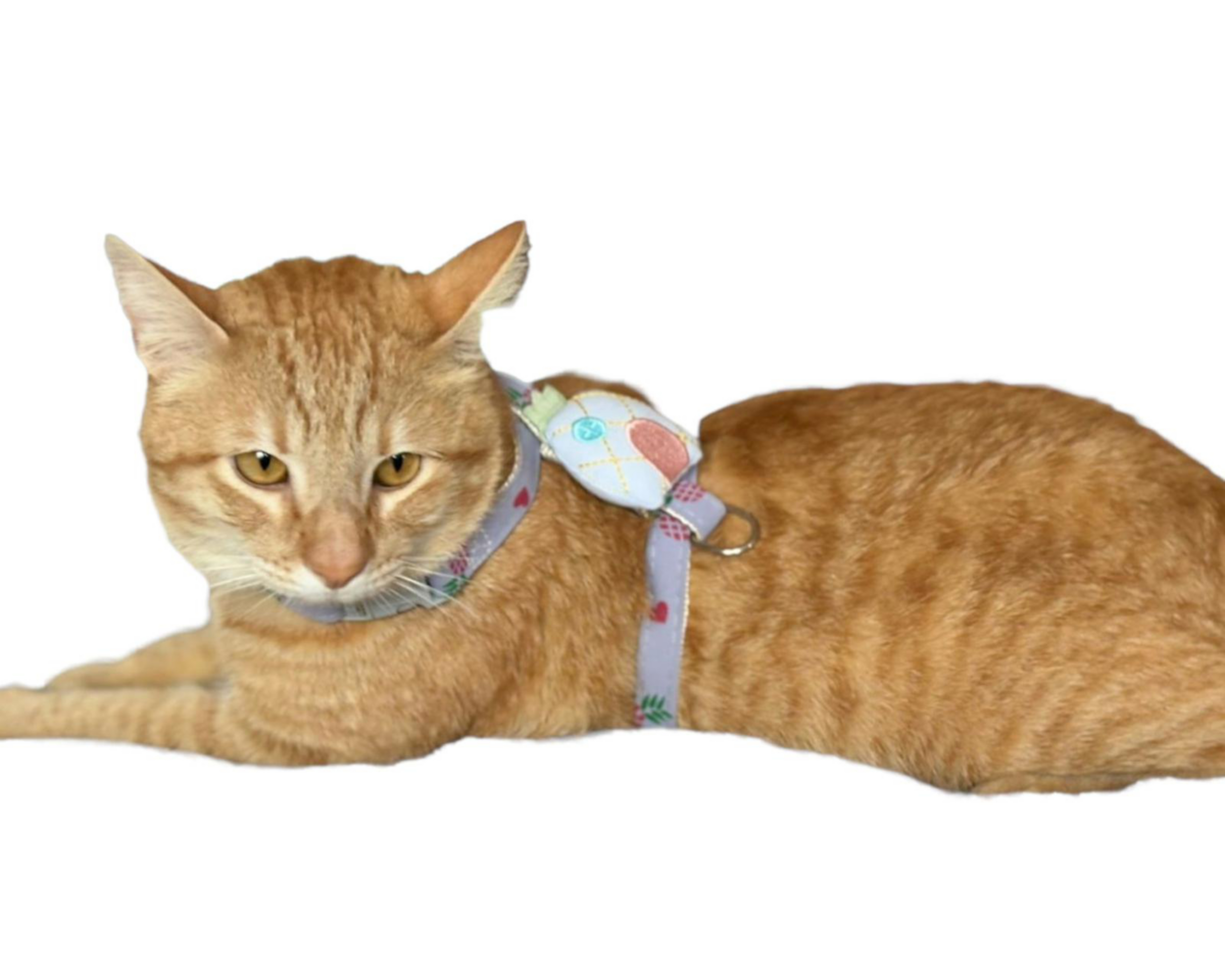 Foto 5 | Pechera con Correa para Gato Famoc